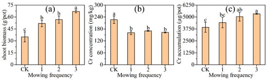 Sustainability 15 06244 g004