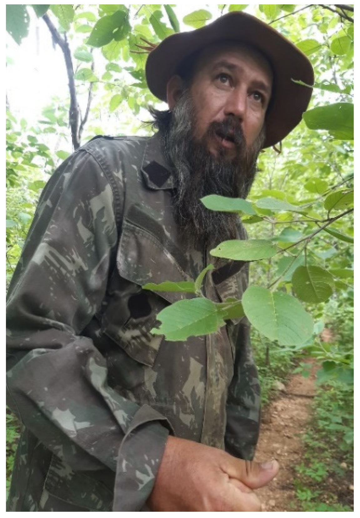 Sustainability 15 06461 g004