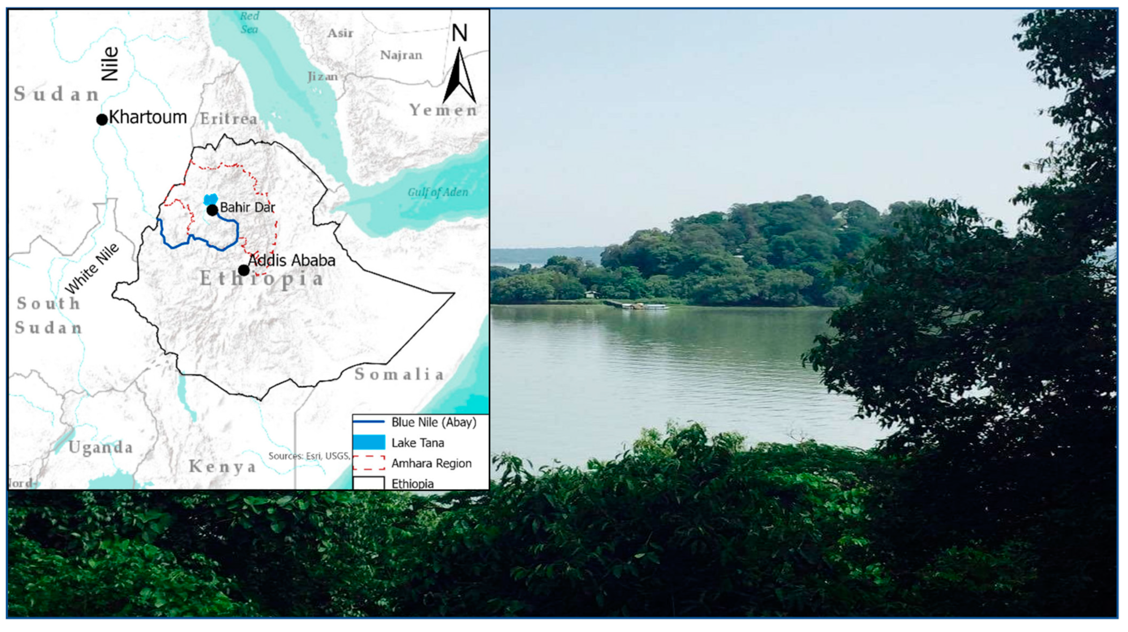 Sustainability 15 06468 g001