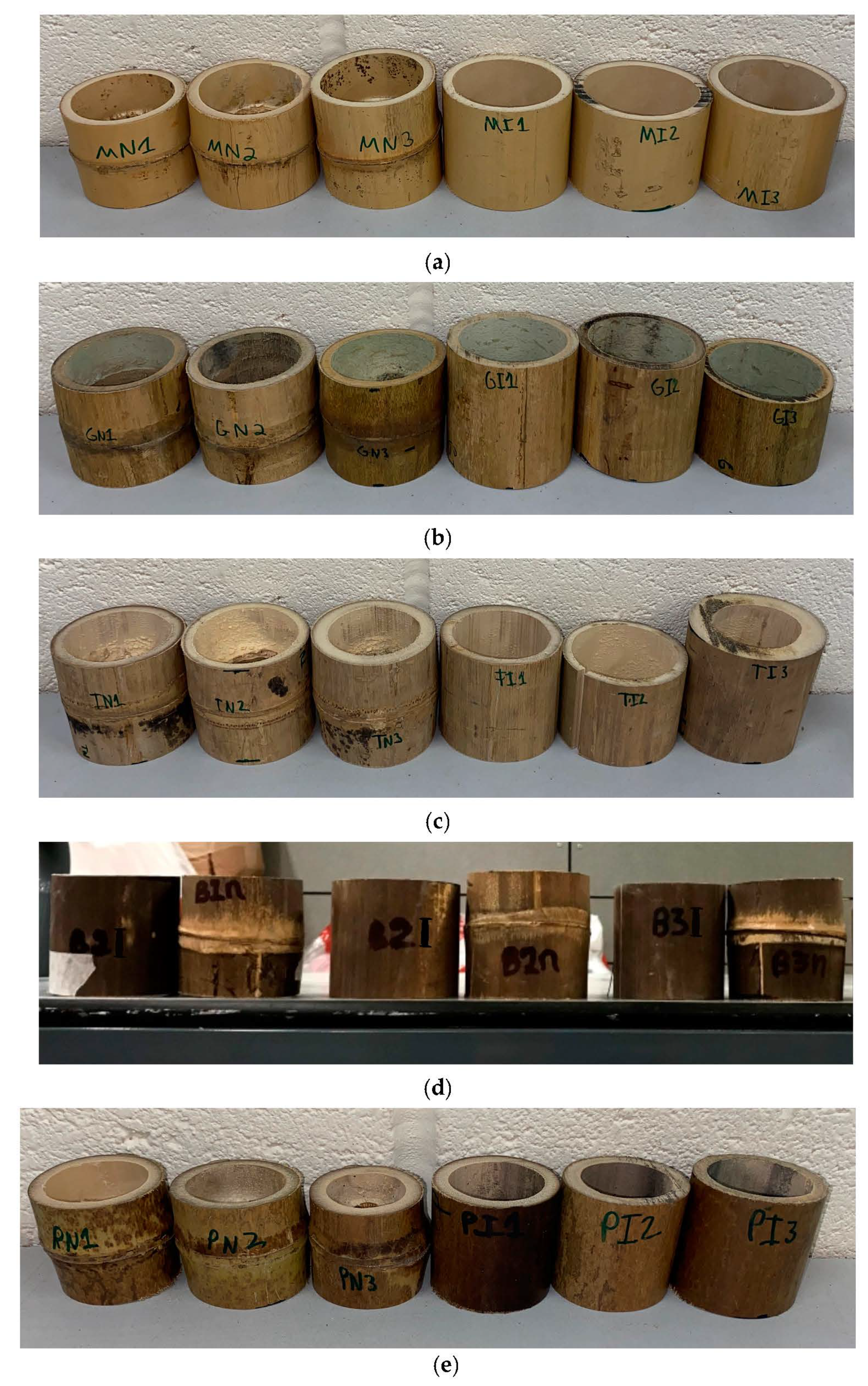 Sustainability 15 06472 g001