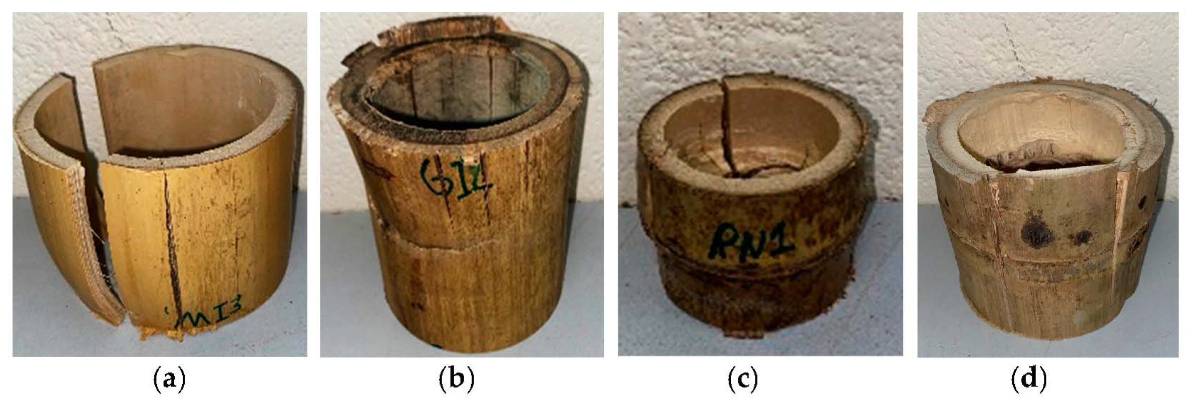 Sustainability 15 06472 g004