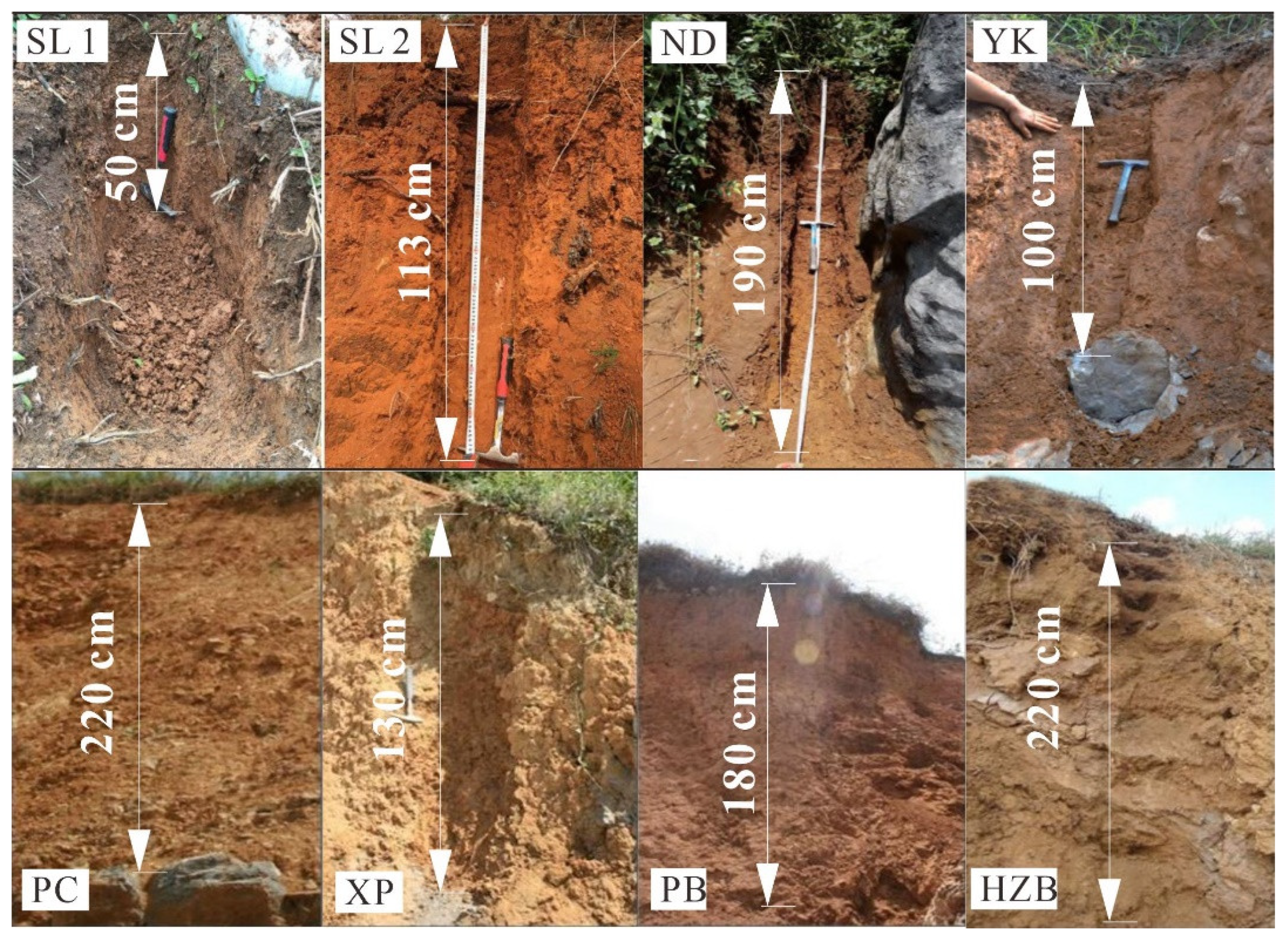 Sustainability 15 06480 g002