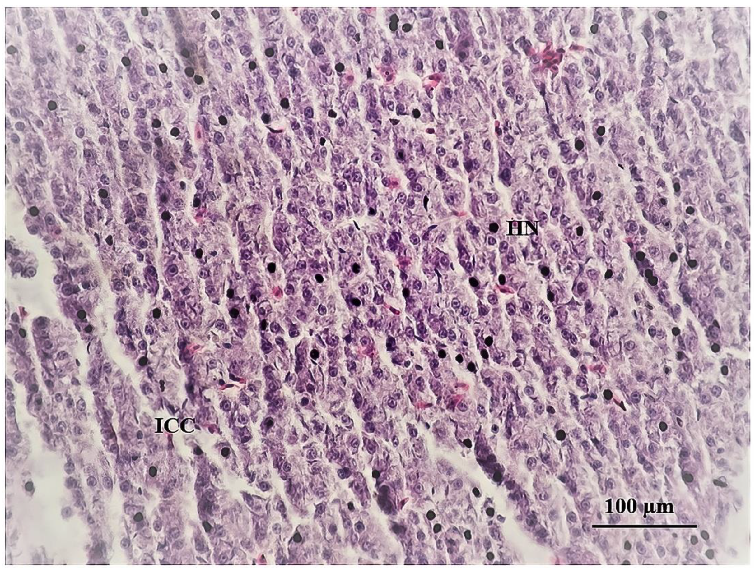 Sustainability 15 06494 g008