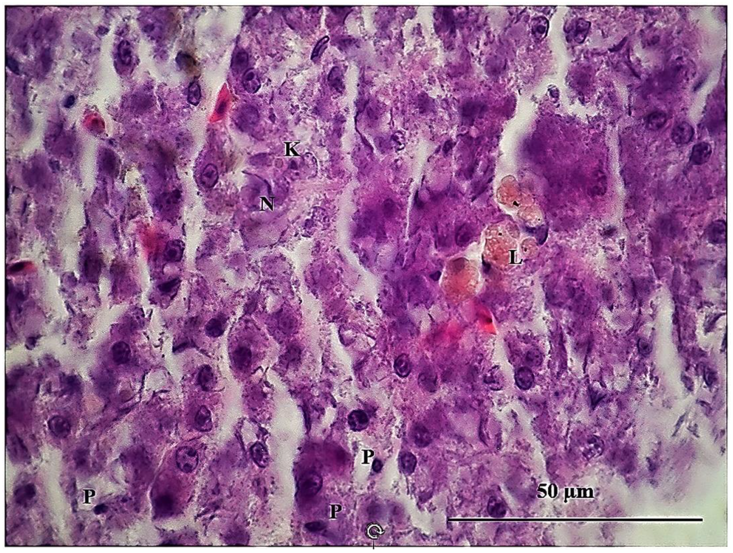 Sustainability 15 06494 g009