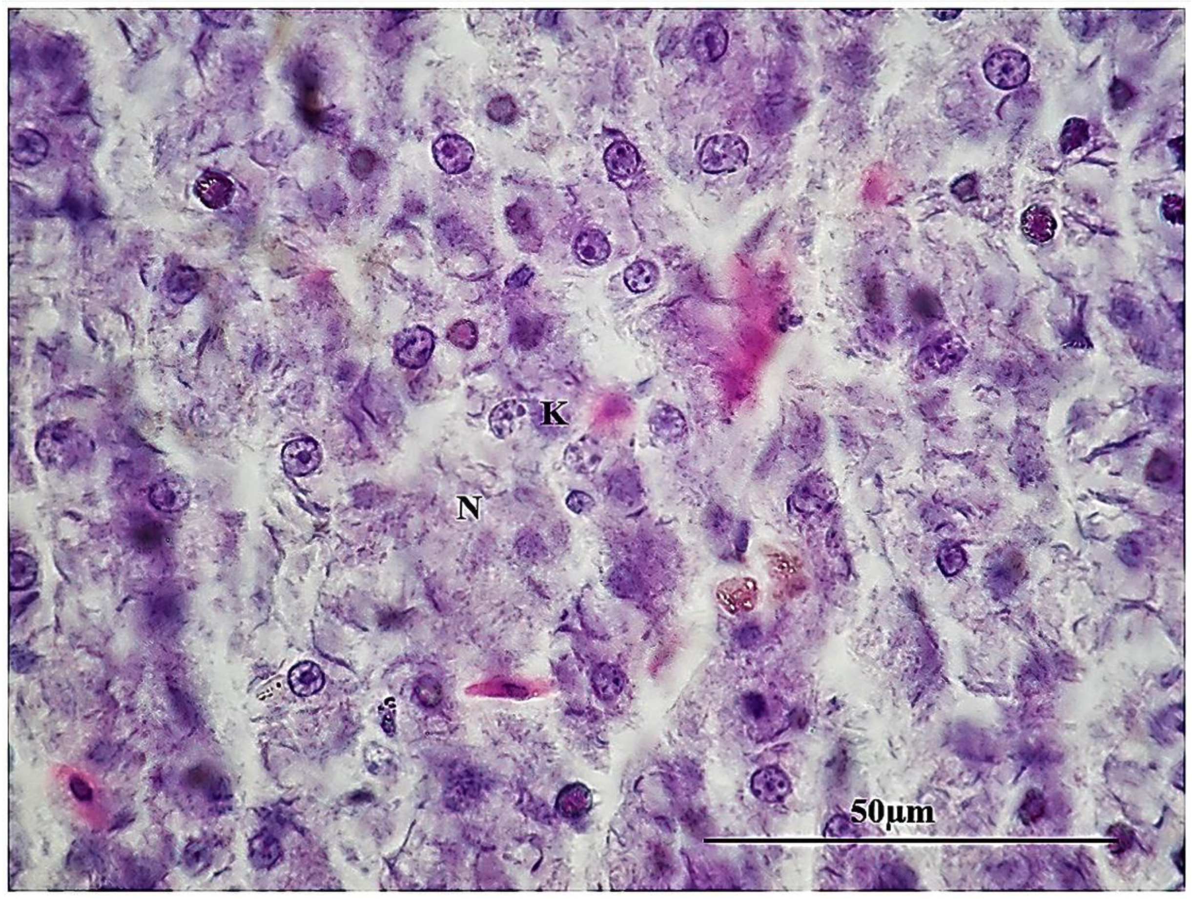 Sustainability 15 06494 g011