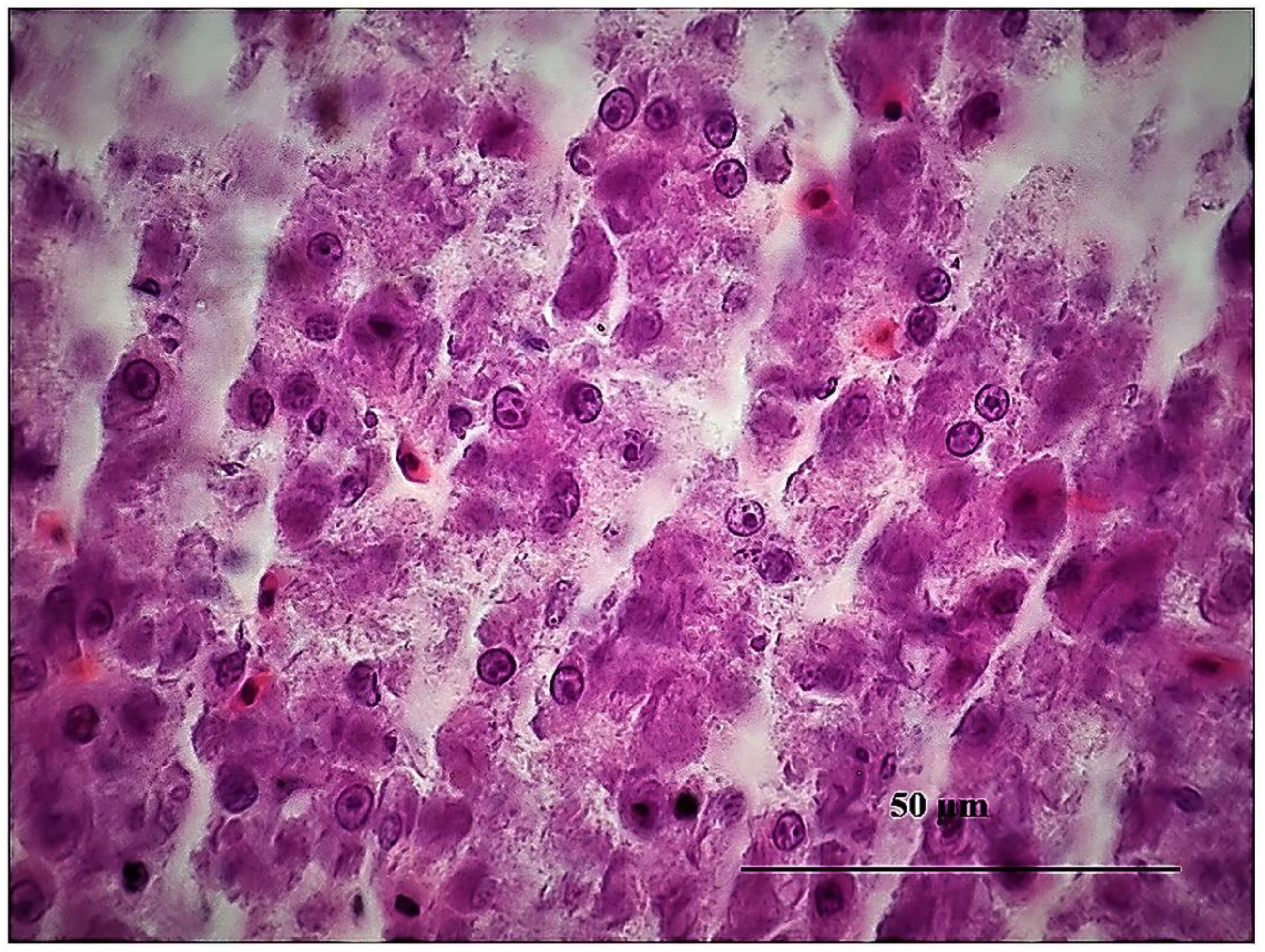 Sustainability 15 06494 g015