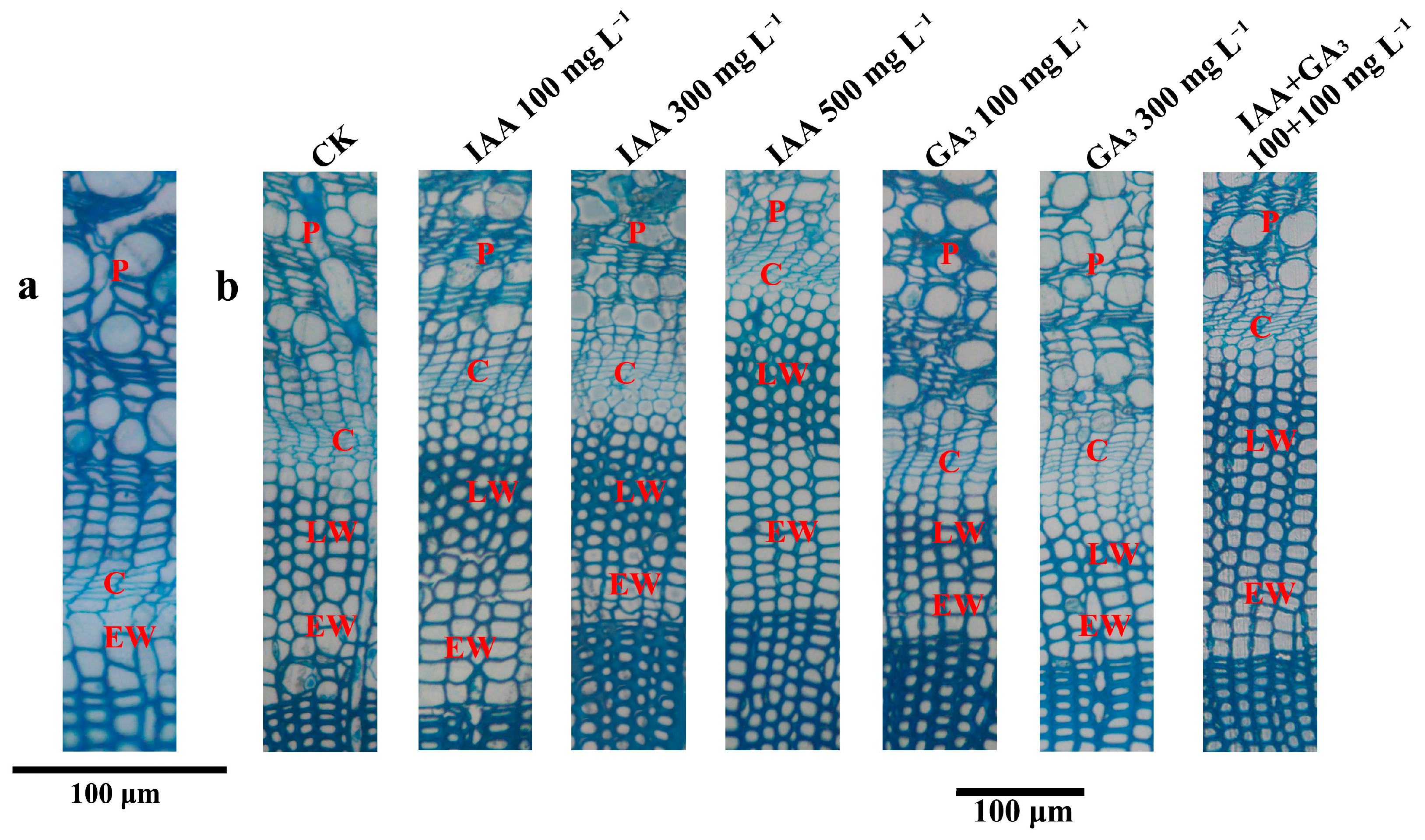 Sustainability 15 06508 g001