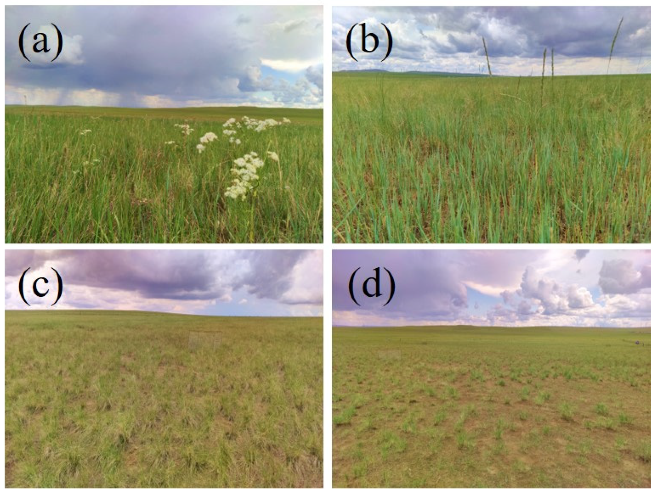 Sustainability 15 06515 g004