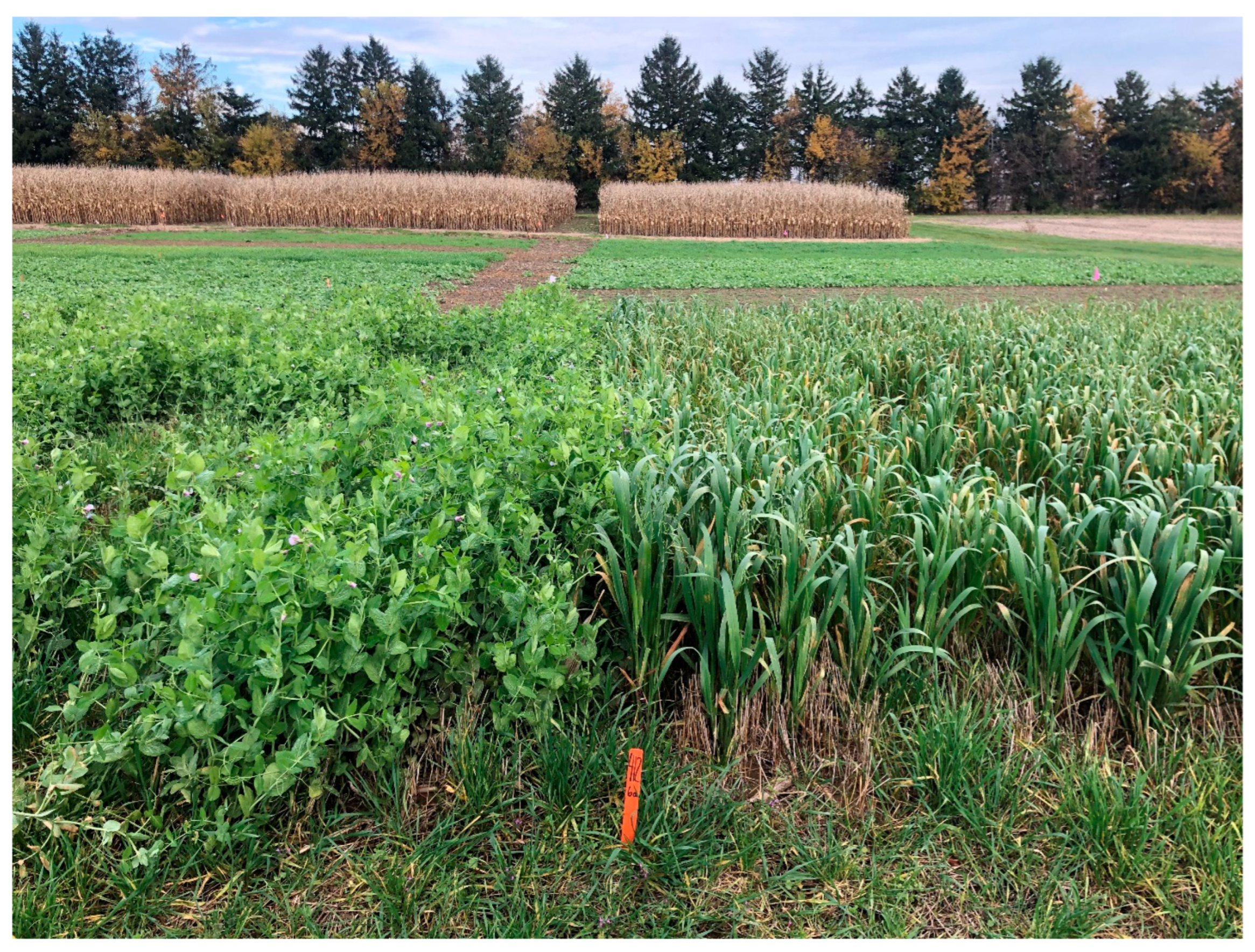 Sustainability 15 06517 g001