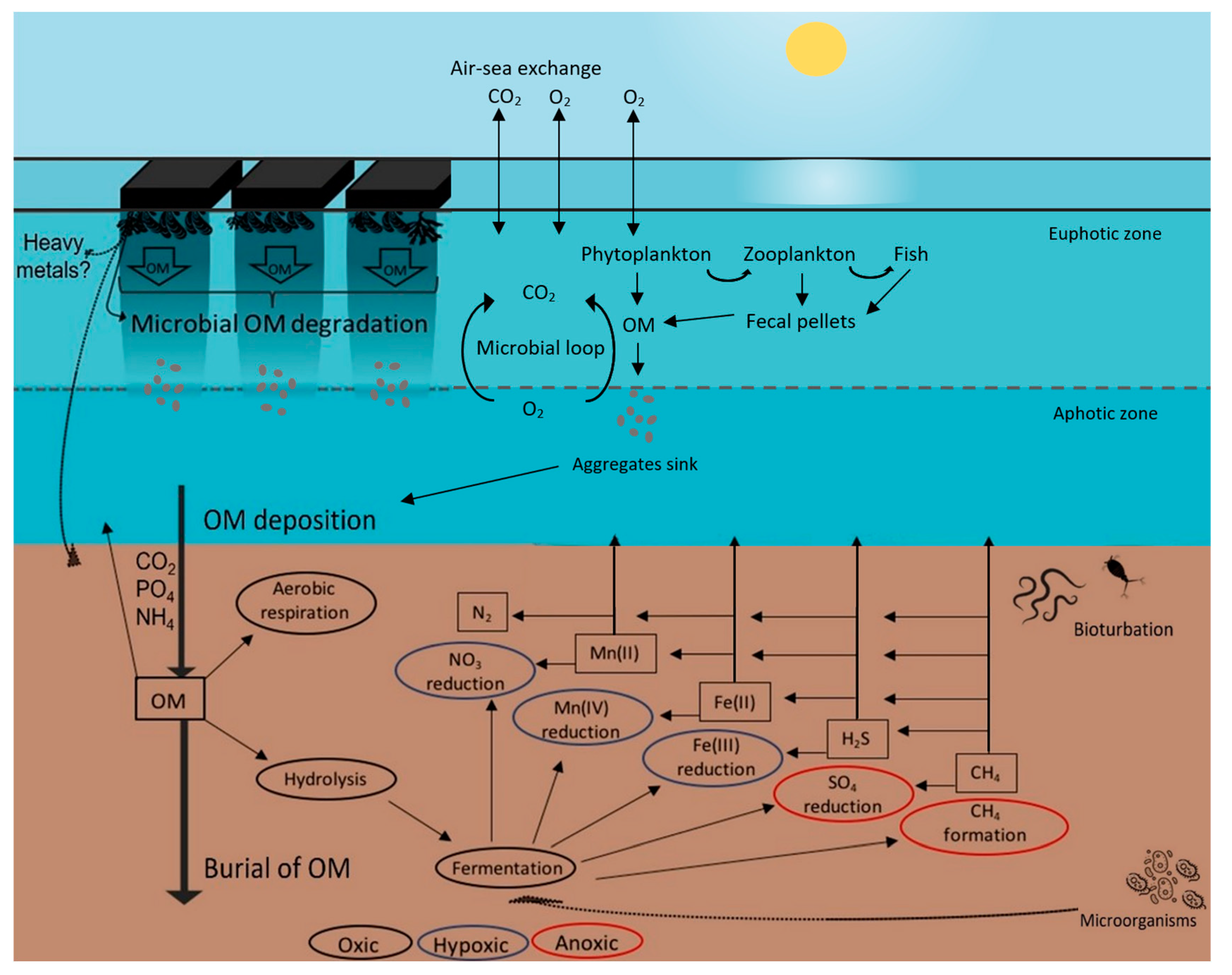 Sustainability 15 06533 g009