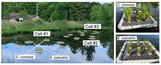 Sustainability 15 06553 g0a2