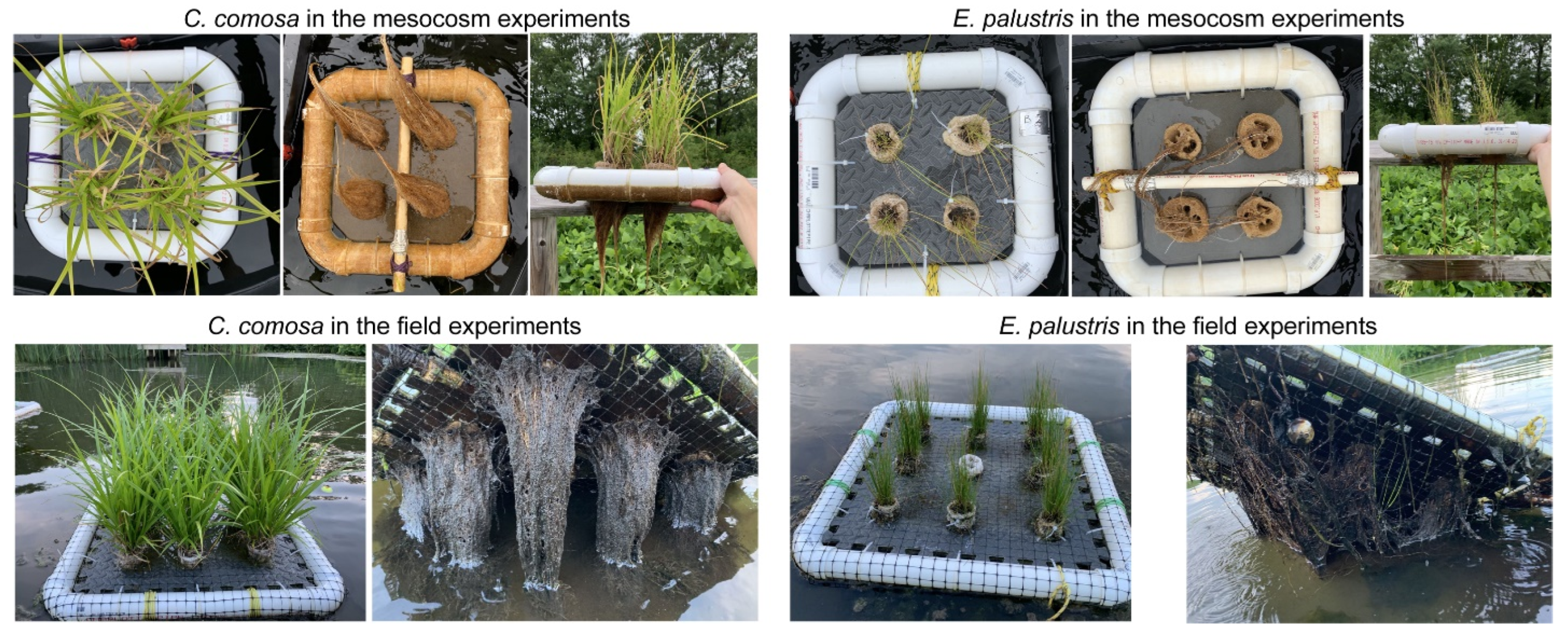 Sustainability 15 06553 g0a3