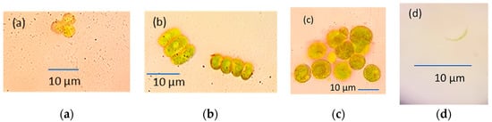 Sustainability 15 06601 g0a1