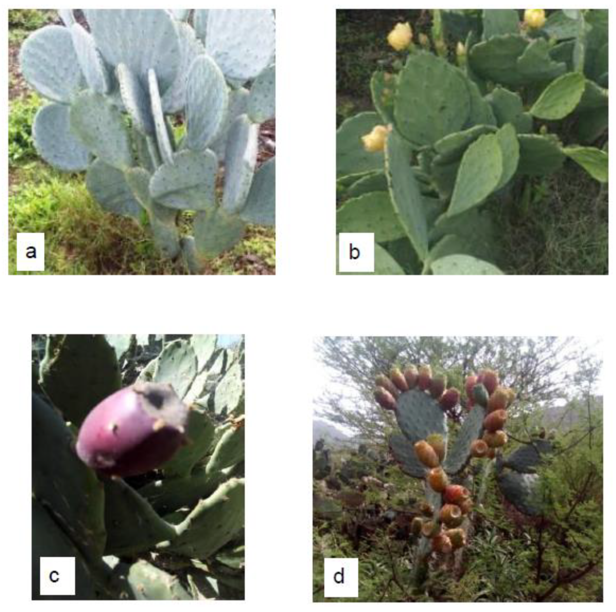 Sustainability 15 06624 g001