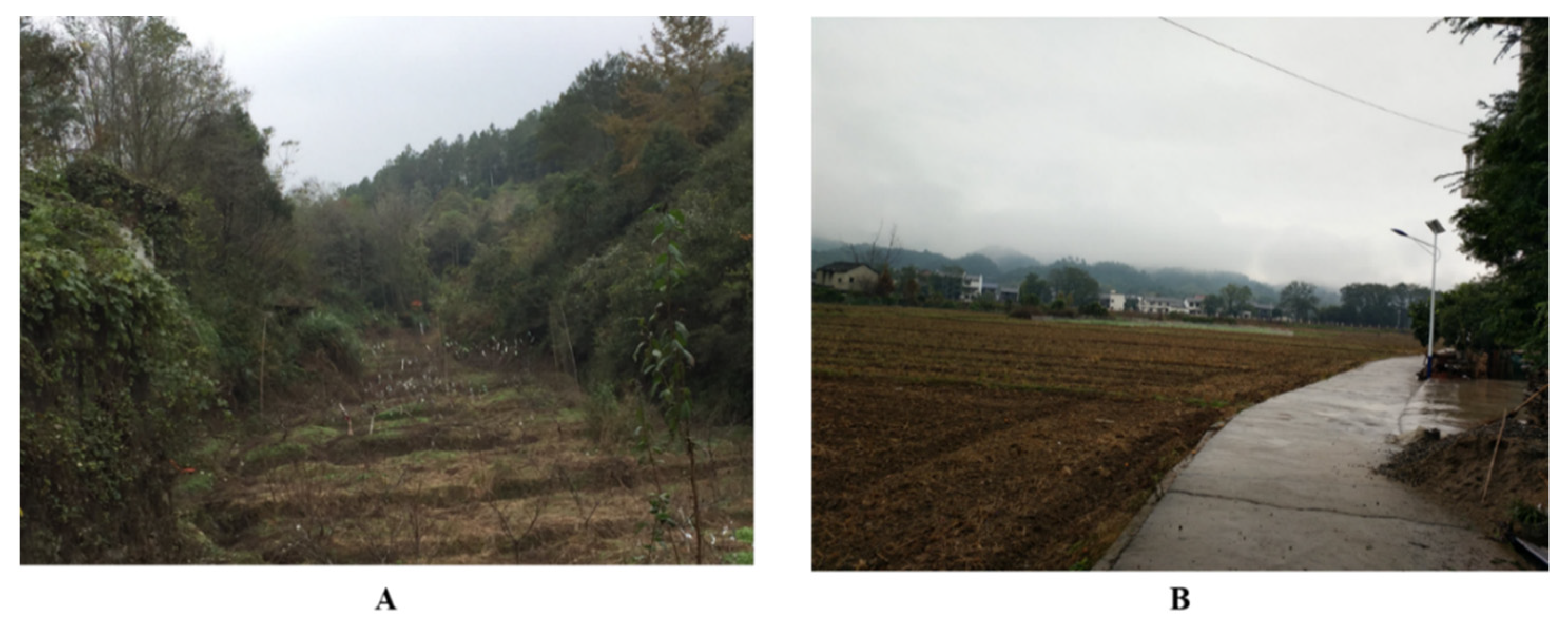 Sustainability 15 06663 g001