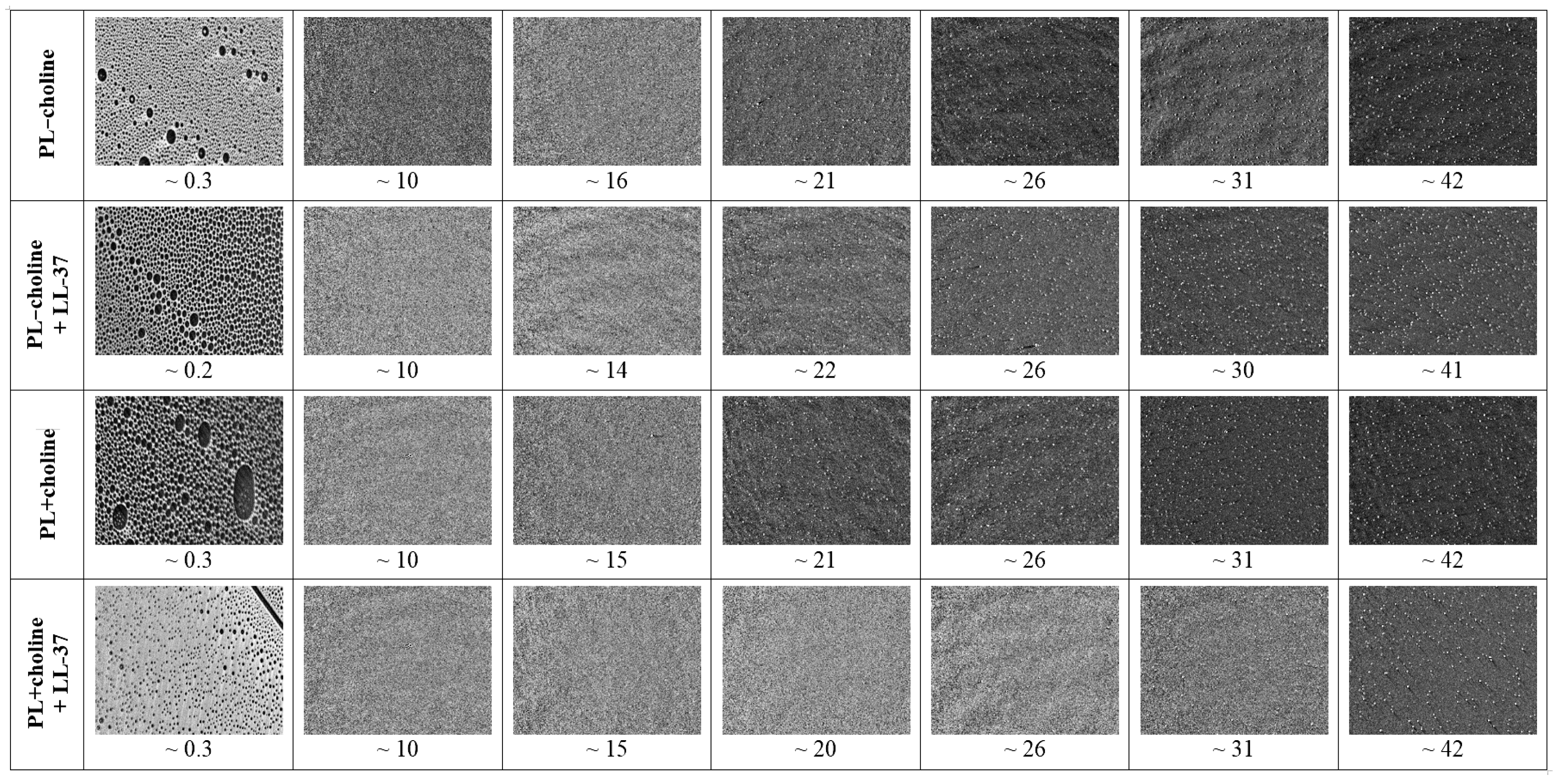 Sustainability 15 06670 g004