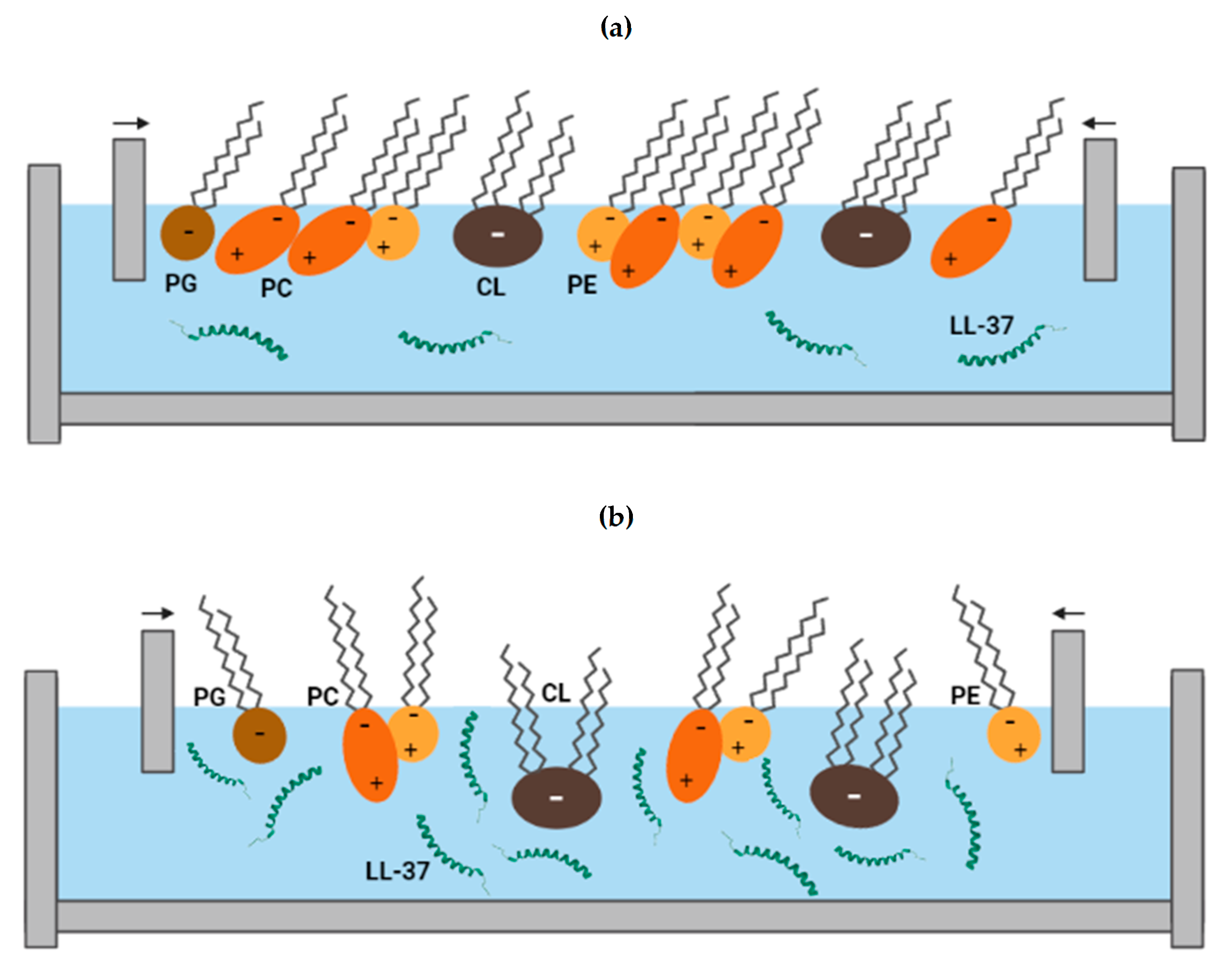 Sustainability 15 06670 g005