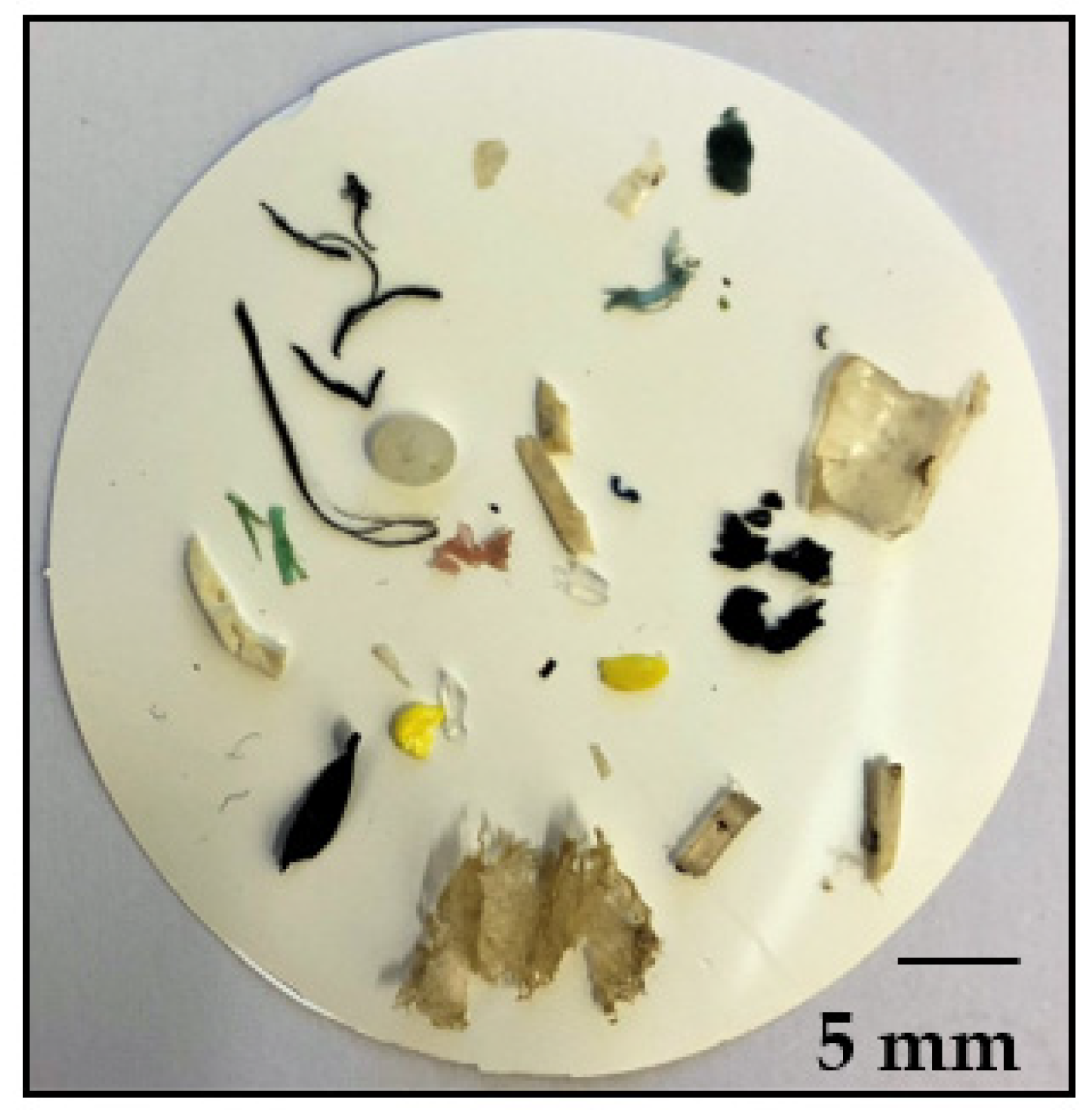 Sustainability 15 06678 g003