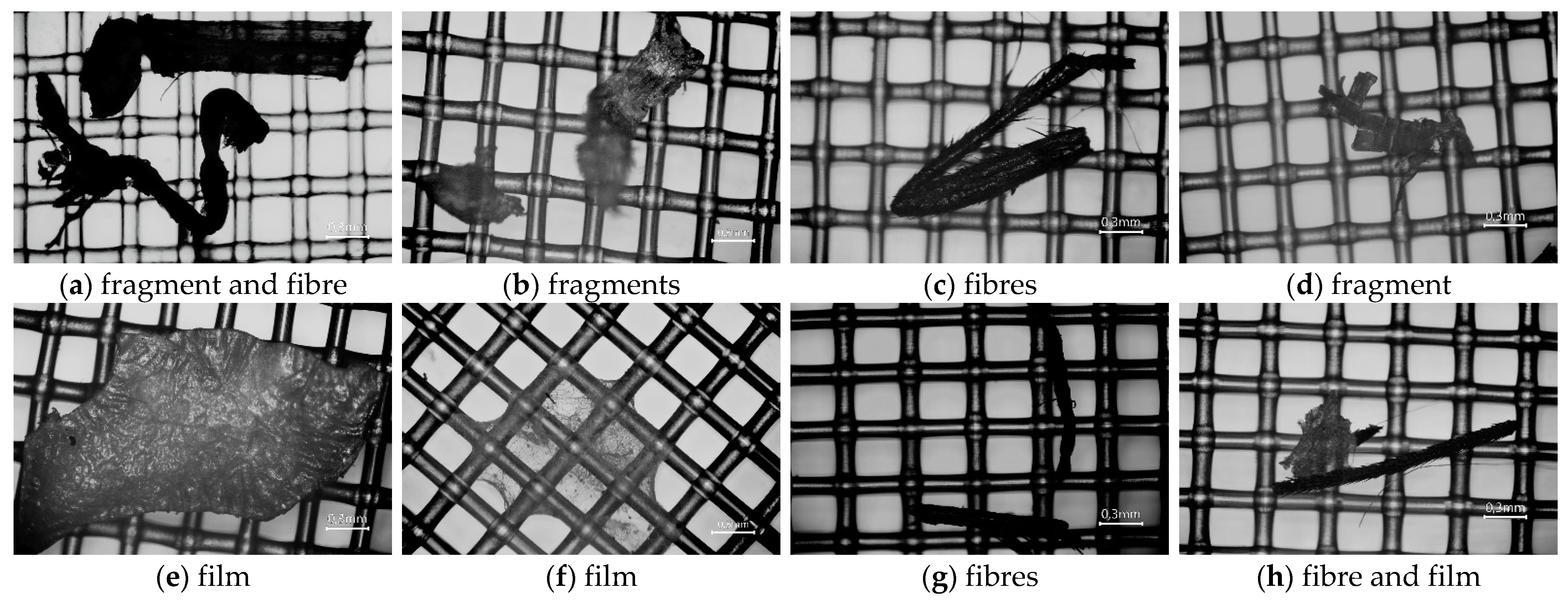 Sustainability 15 06678 g004a