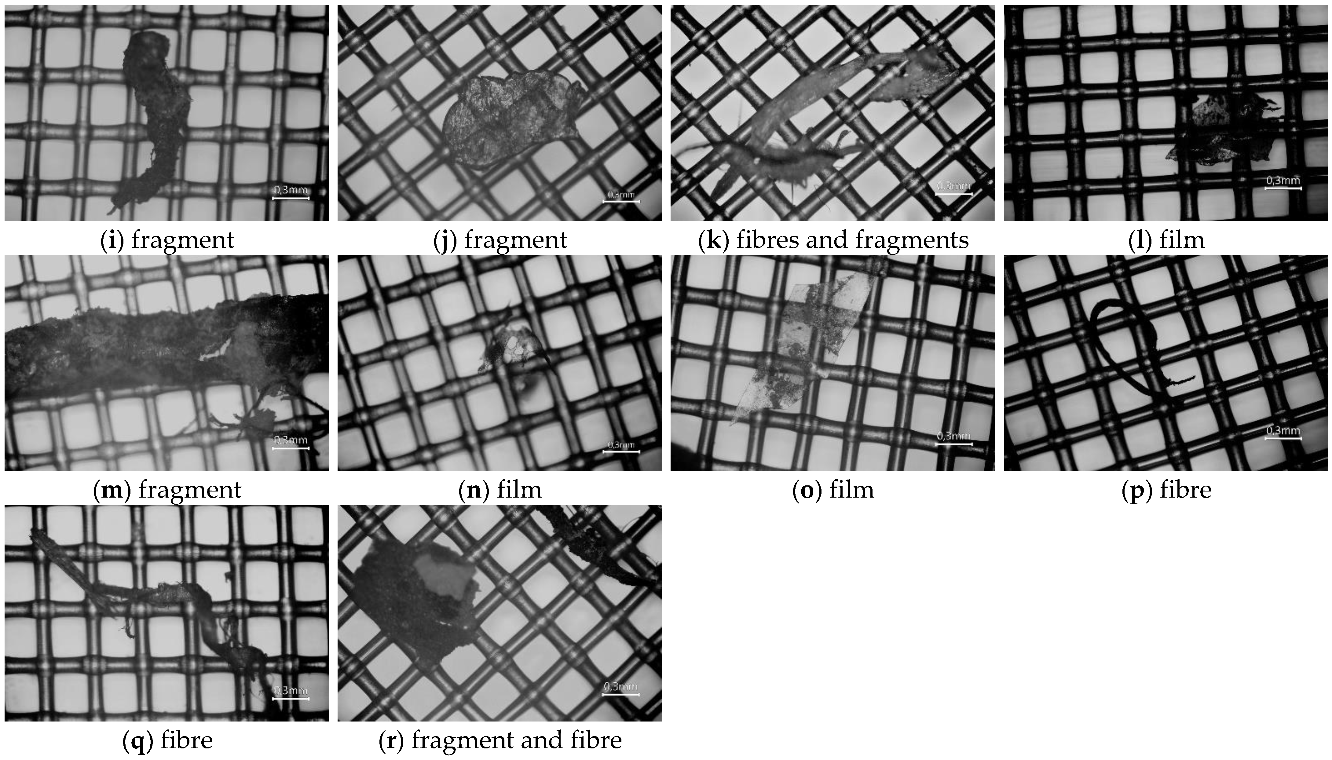 Sustainability 15 06678 g004b
