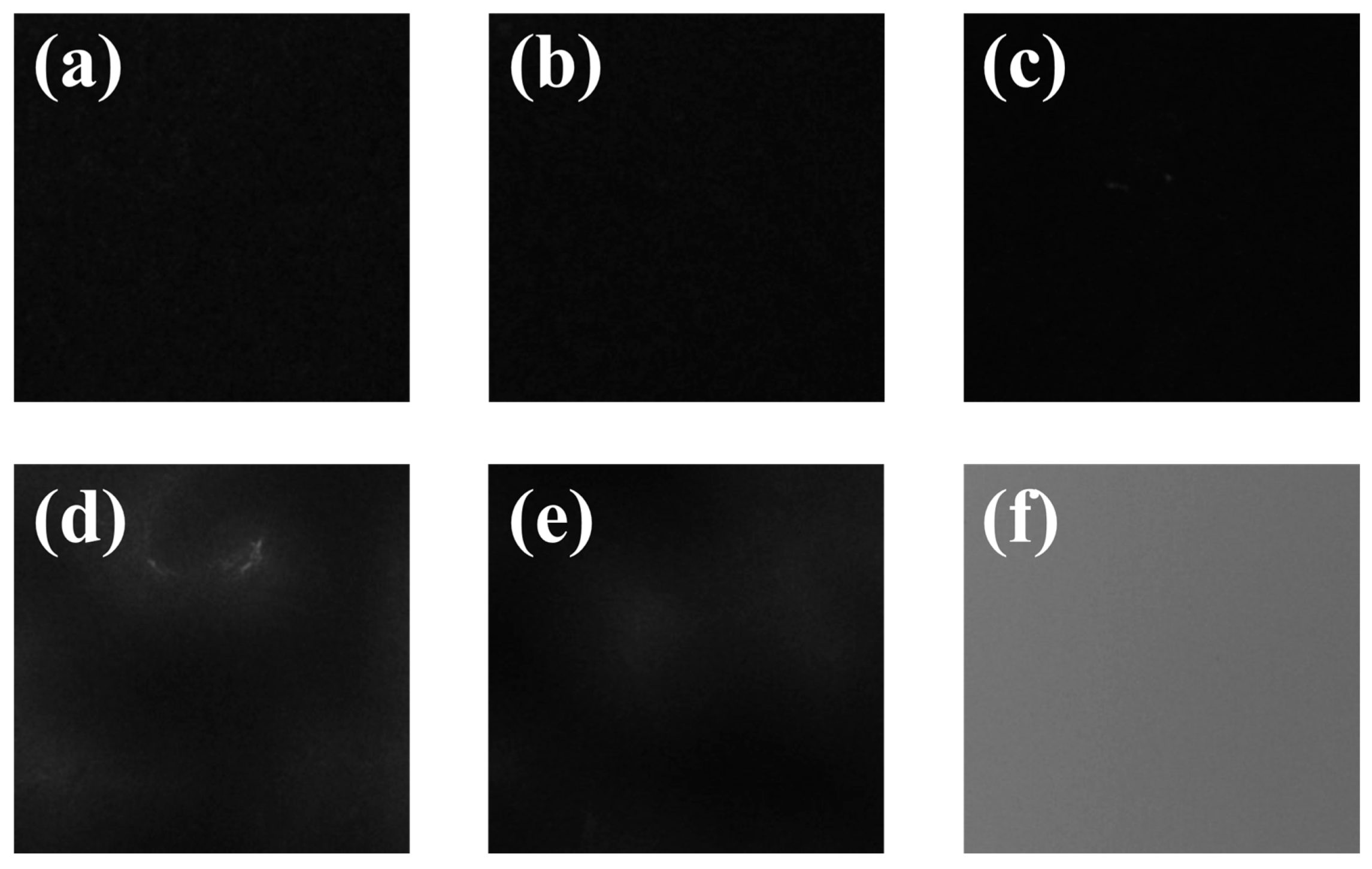 Sustainability 15 06682 g005