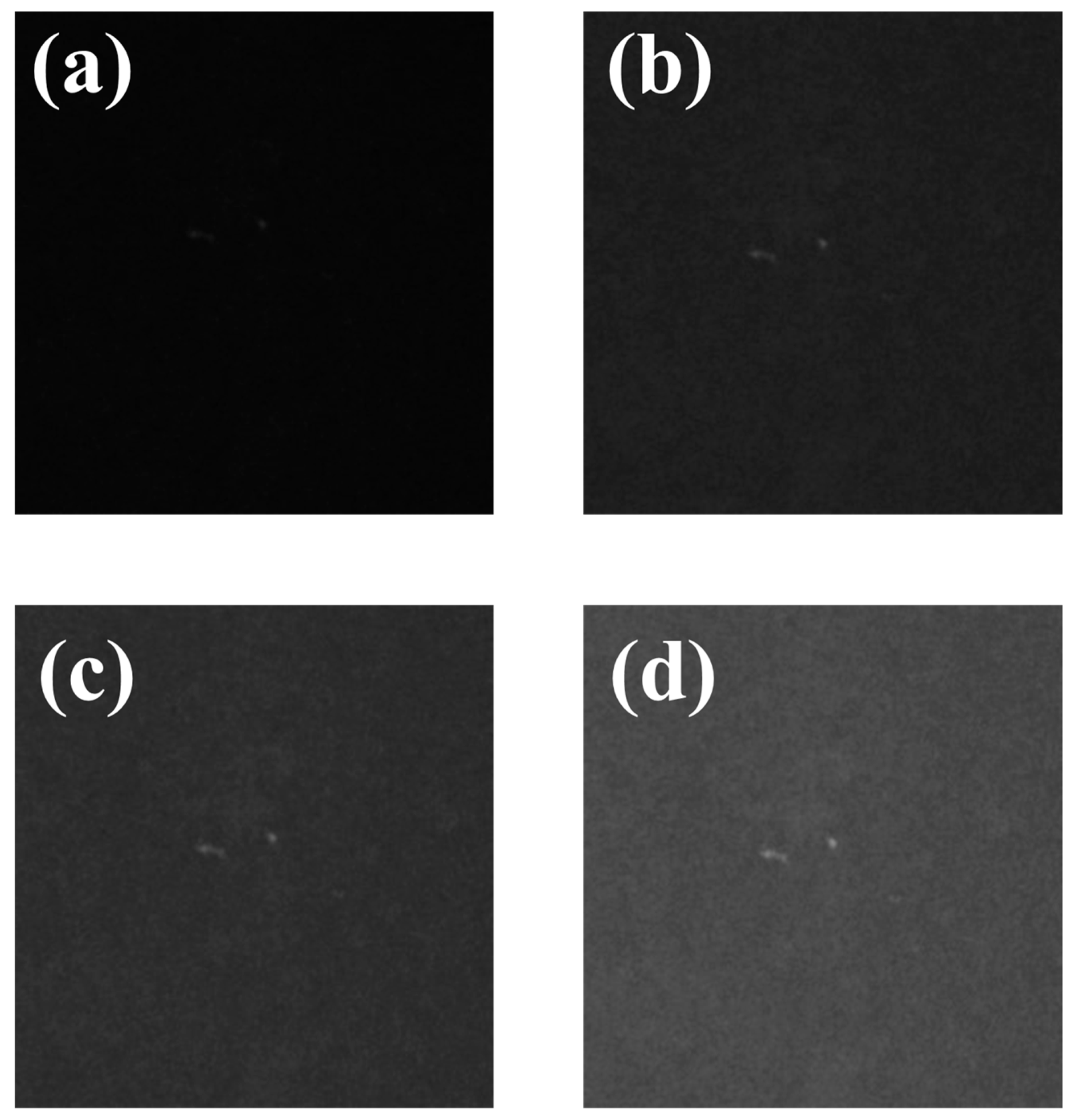 Sustainability 15 06682 g007