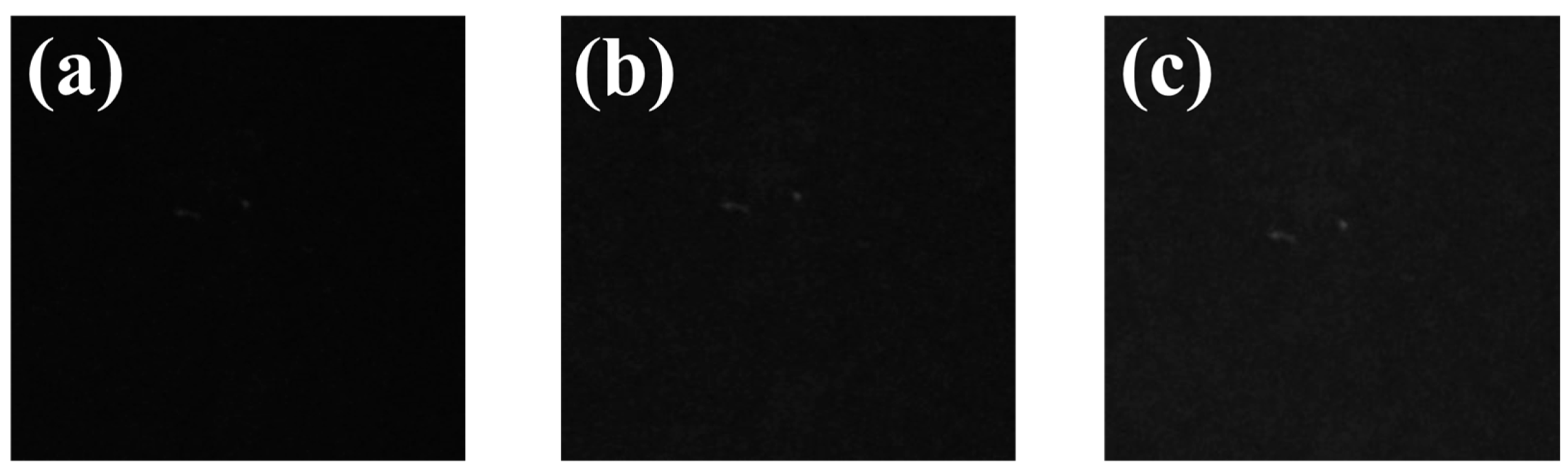 Sustainability 15 06682 g009