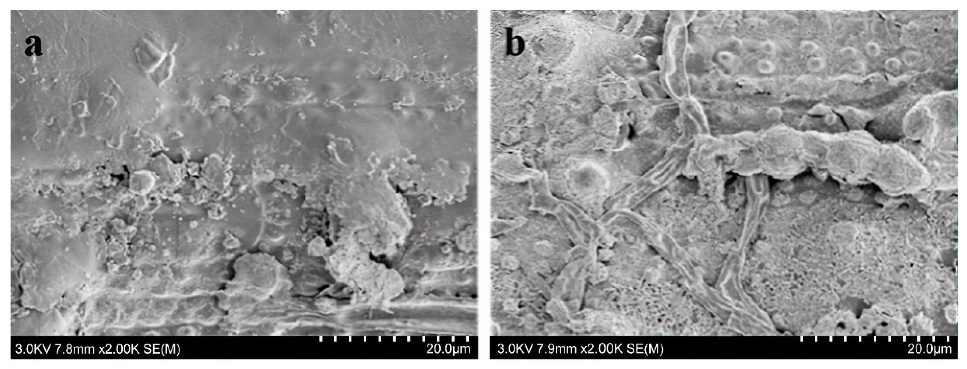 Sustainability 15 06707 g003