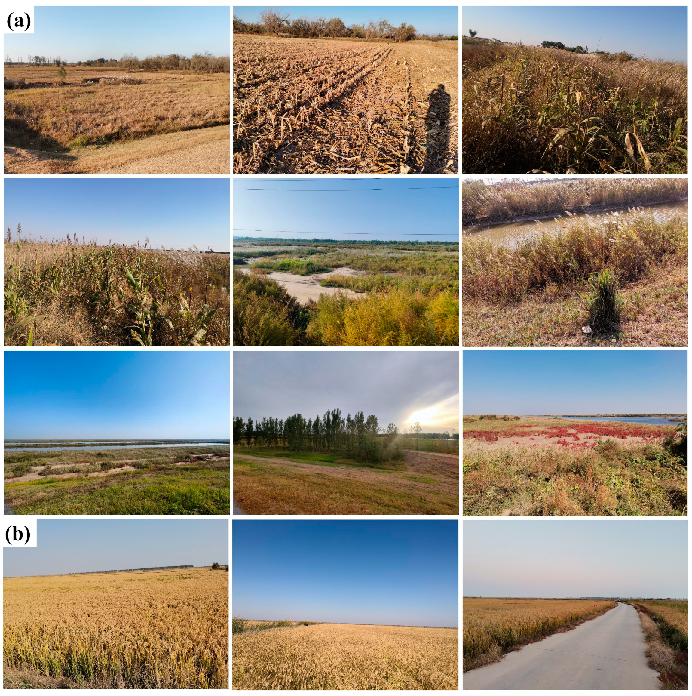 Sustainability 15 06728 g005 Sustainability 15 06728 g005