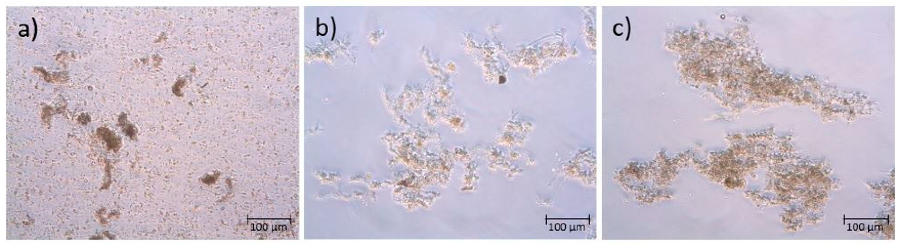Sustainability 15 06741 g006