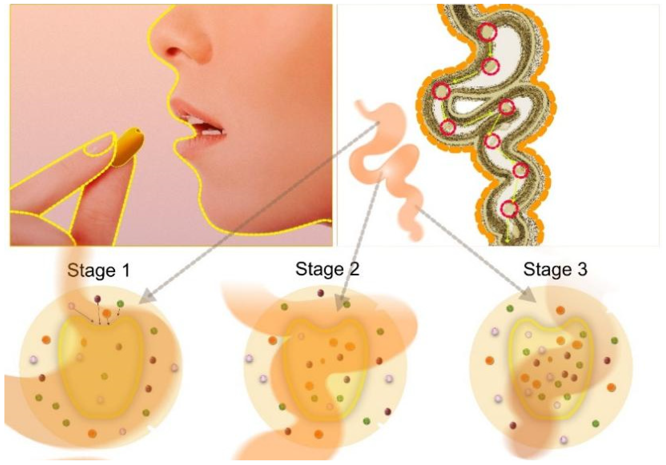 Sustainability 15 06755 g003 Sustainability 15 06755 g003