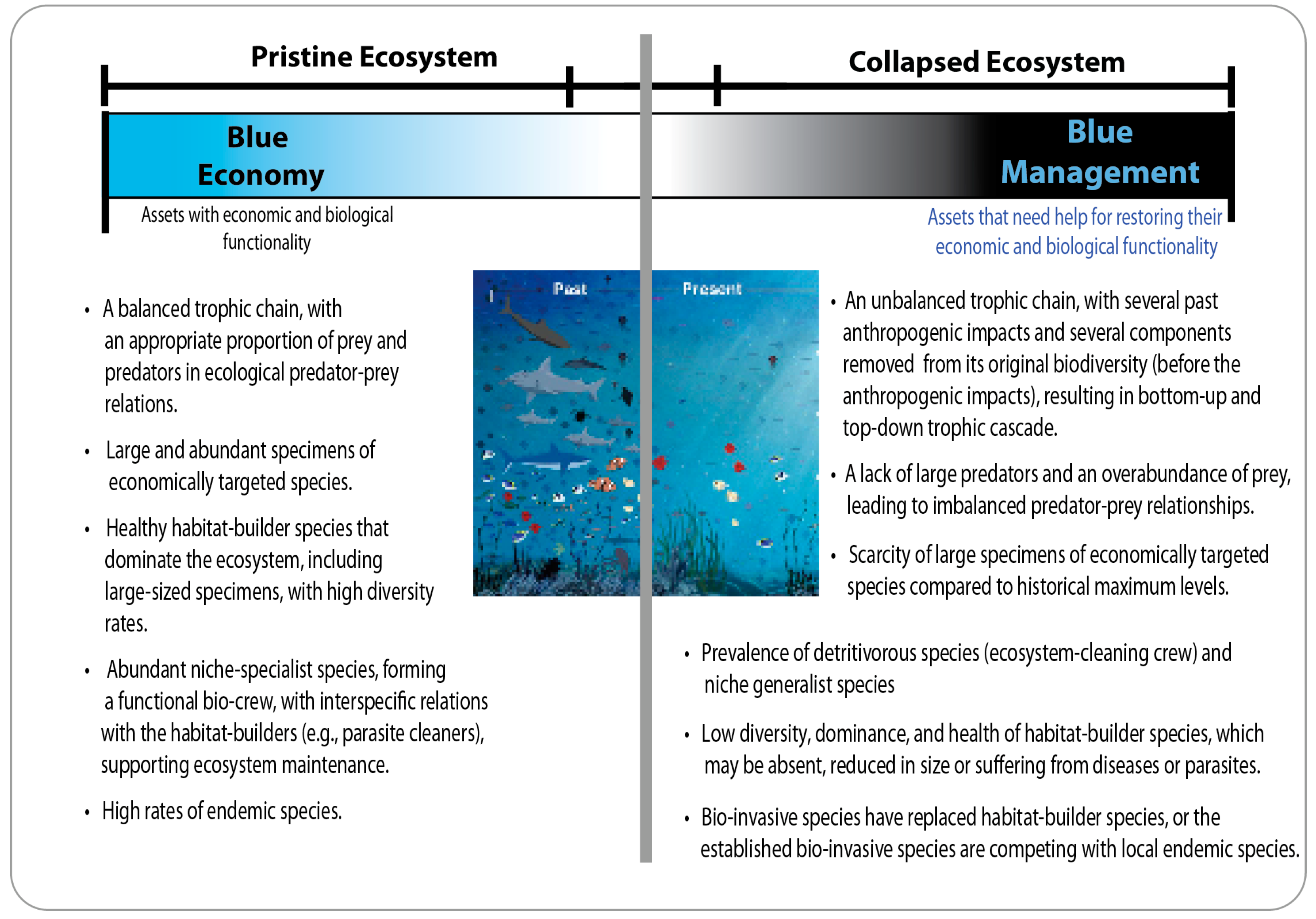 Sustainability 15 06758 g002