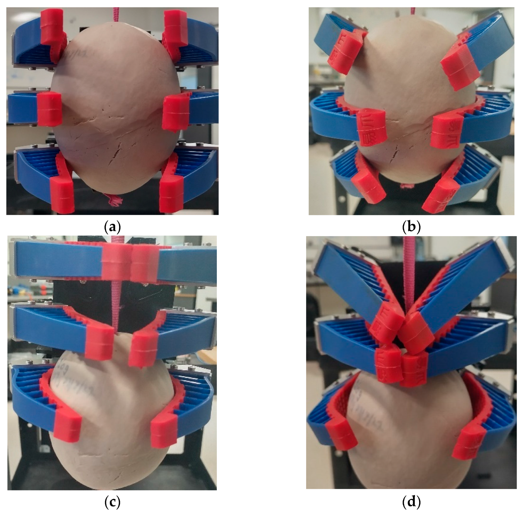 Sustainability 15 06769 g006