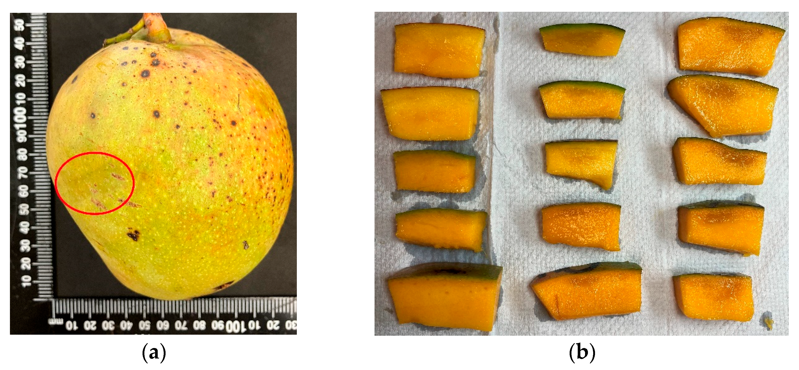 Sustainability 15 06769 g010