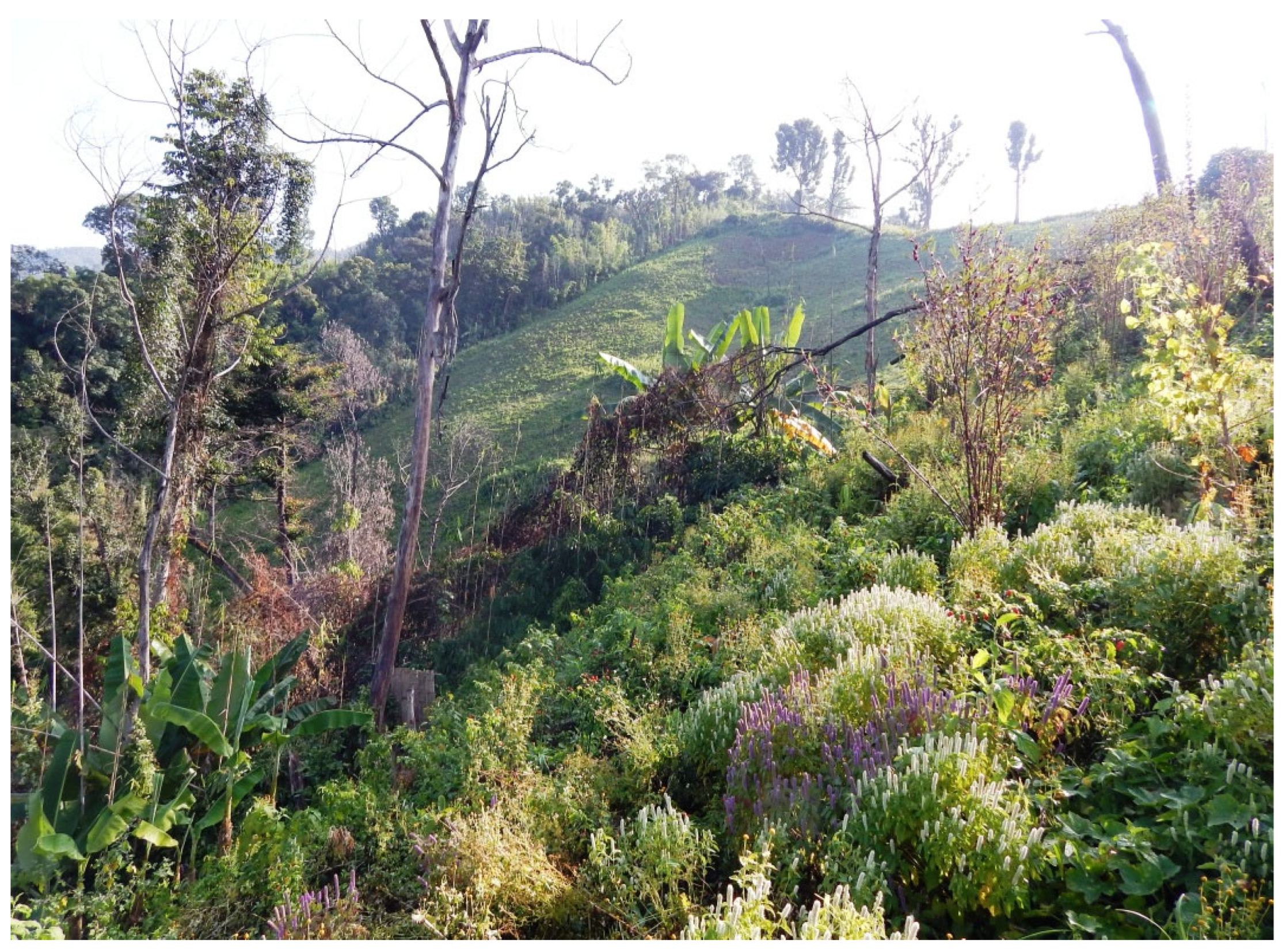 Sustainability 15 06791 g002 Sustainability 15 06791 g002