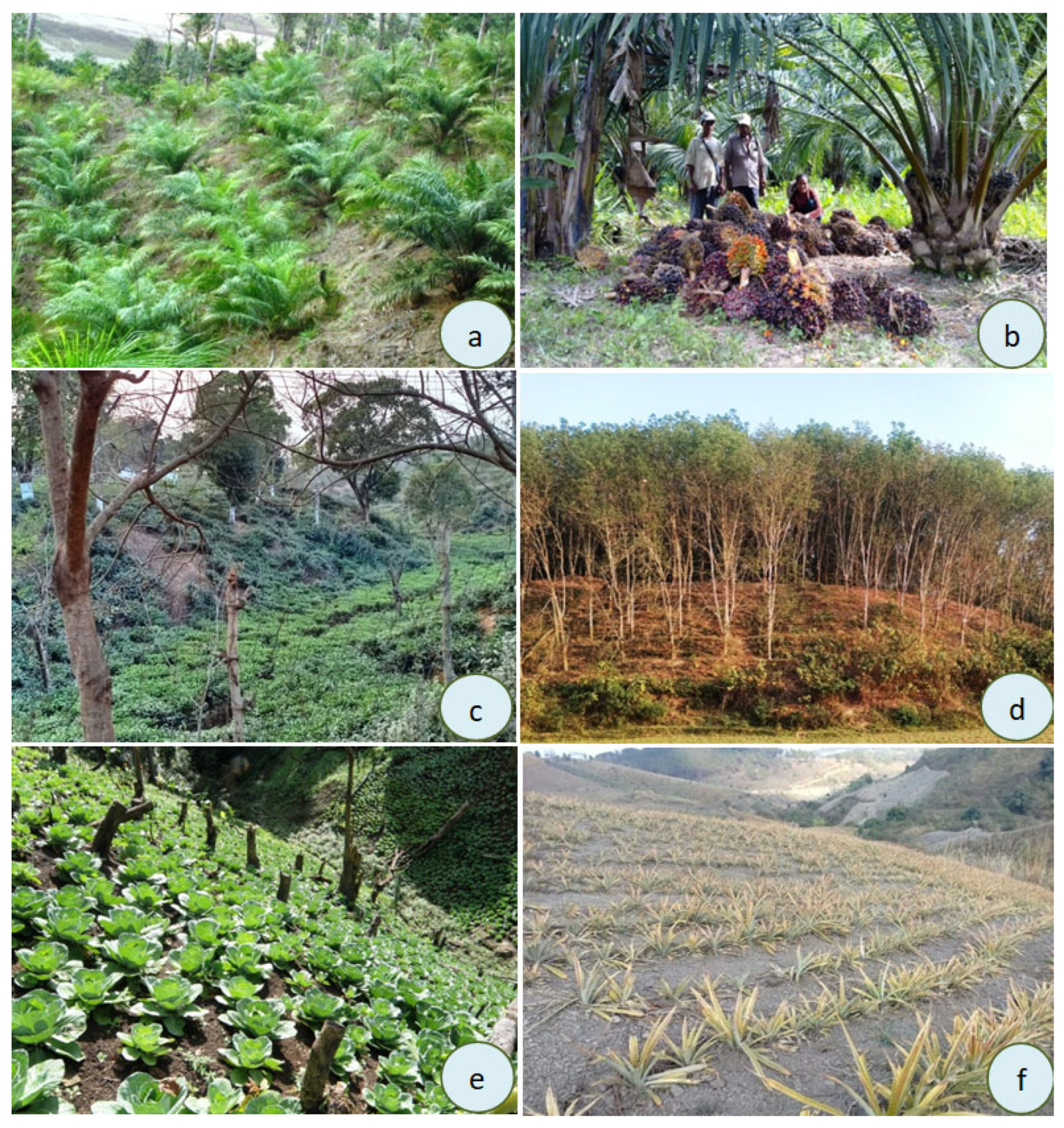 Sustainability 15 06791 g005 Sustainability 15 06791 g005