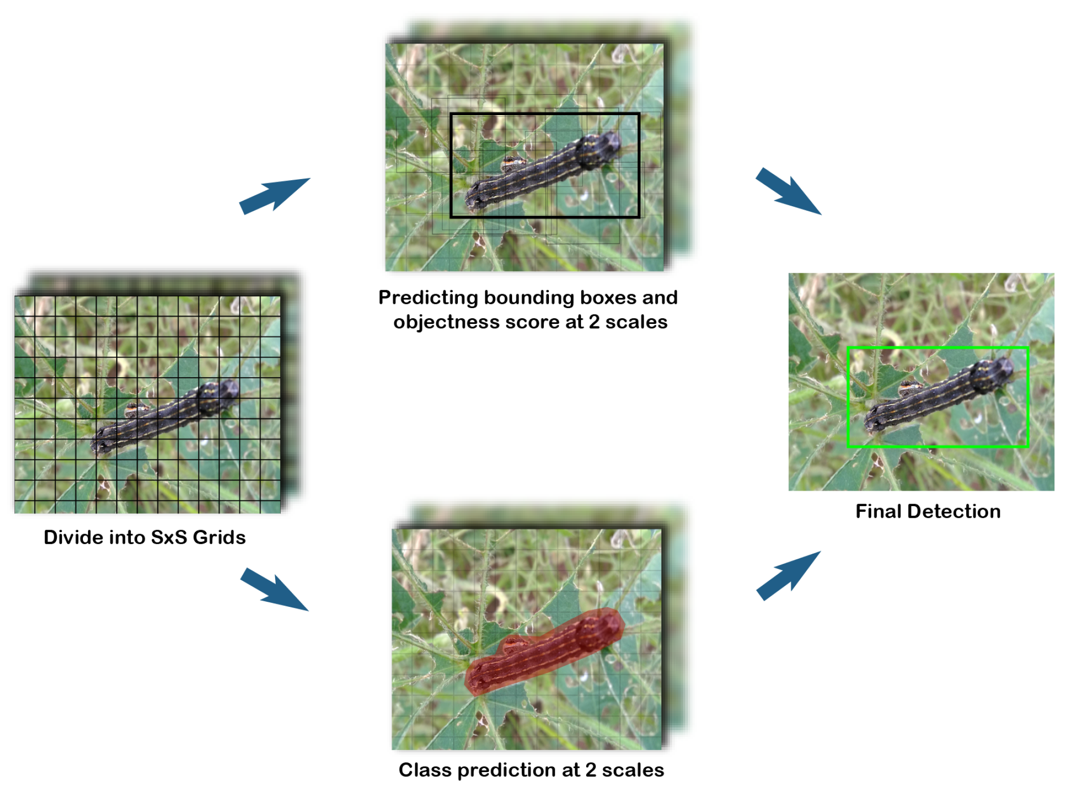Sustainability 15 06815 g002