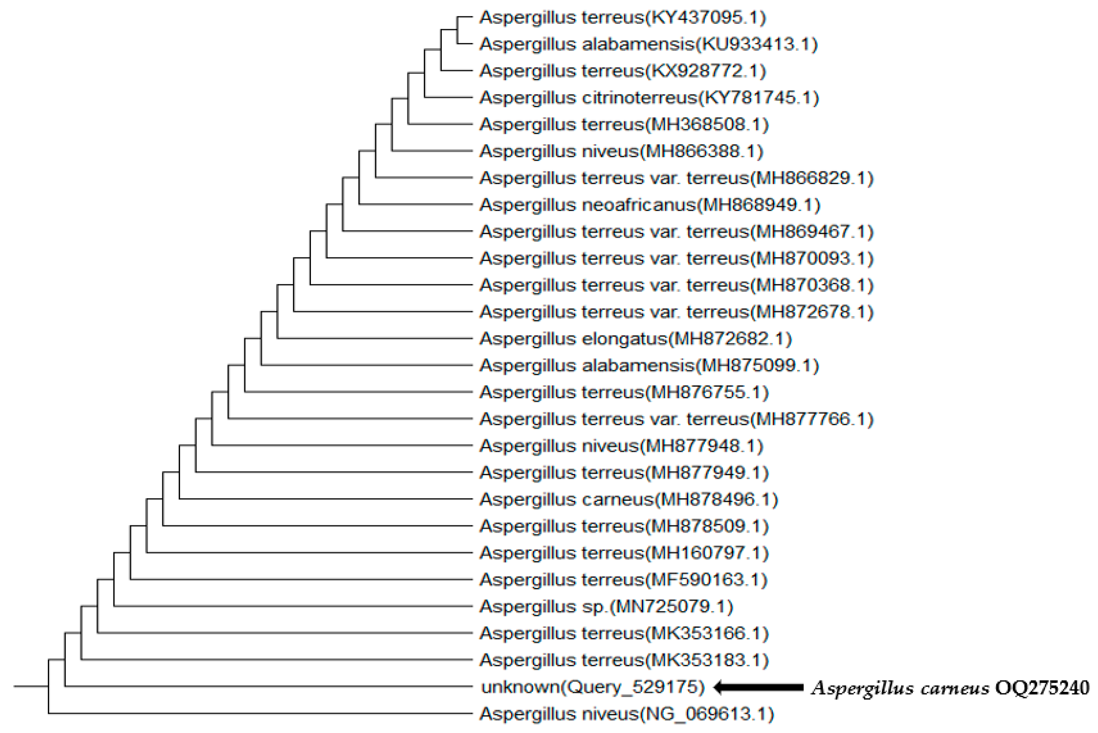 Sustainability 15 06836 g001