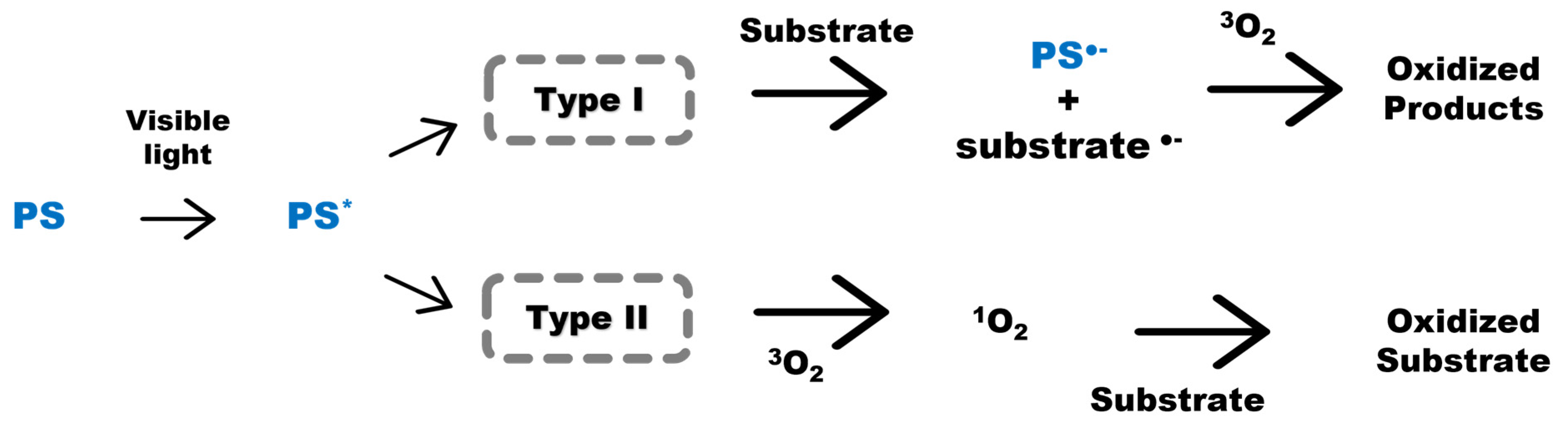 Sustainability 15 06861 g002