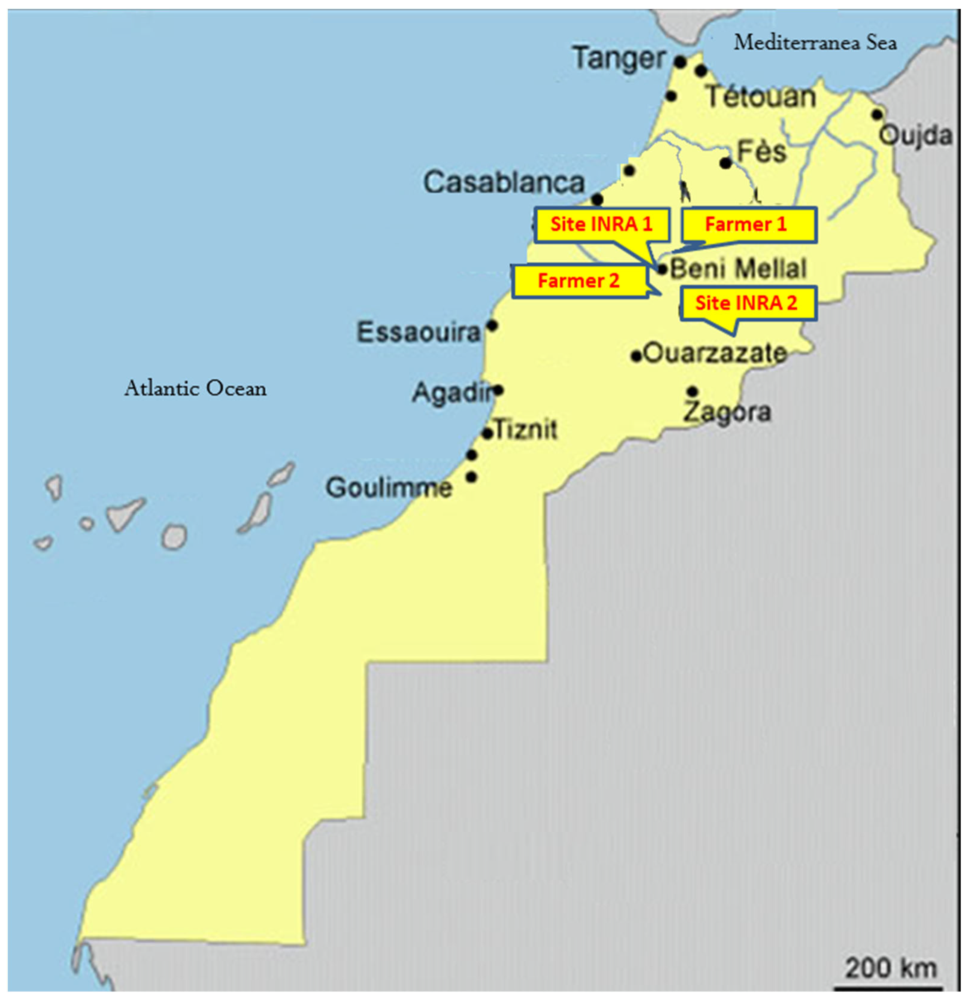 Sustainability 15 06875 g005