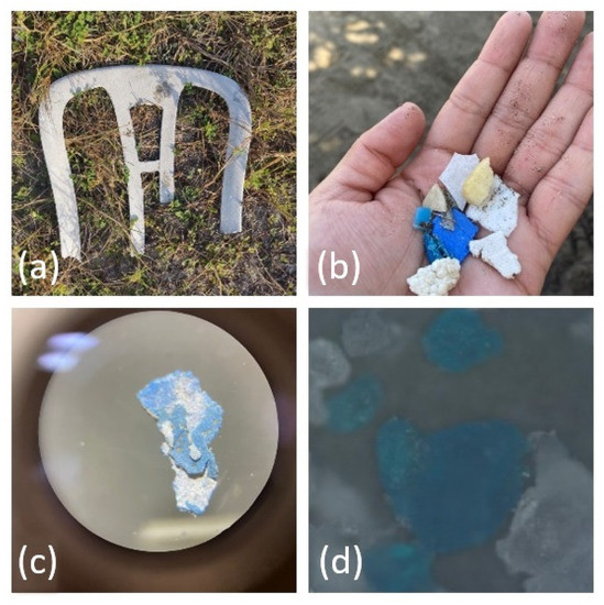 Sustainability 15 06934 g001