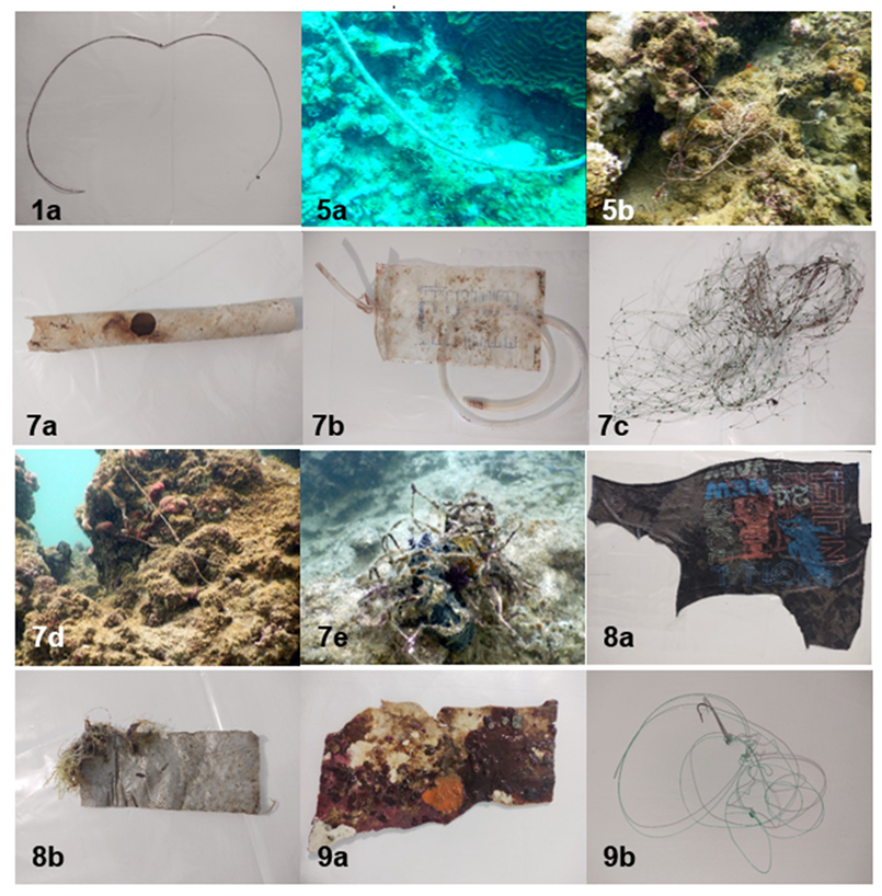 Sustainability 15 06934 i001a