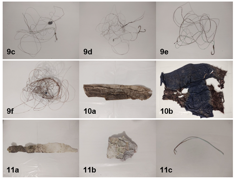 Sustainability 15 06934 i001b