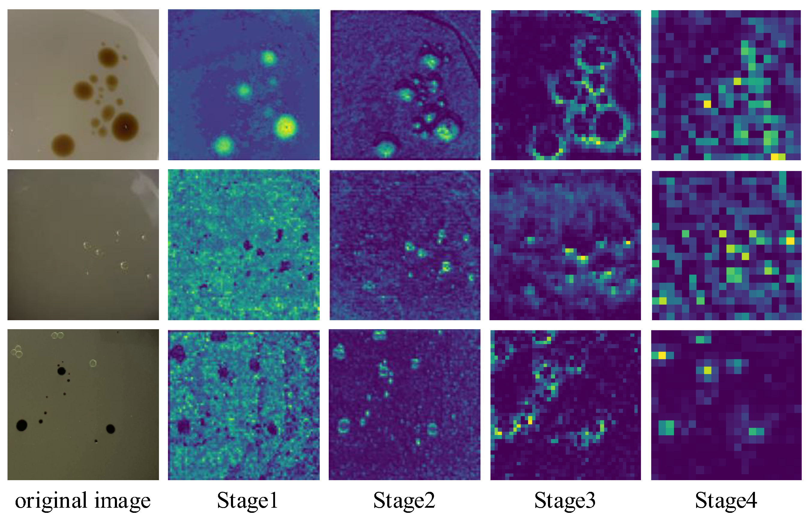 Sustainability 15 06966 g010