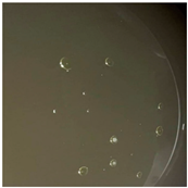 Sustainability 15 06966 i025 Sustainability 15 06966 i025