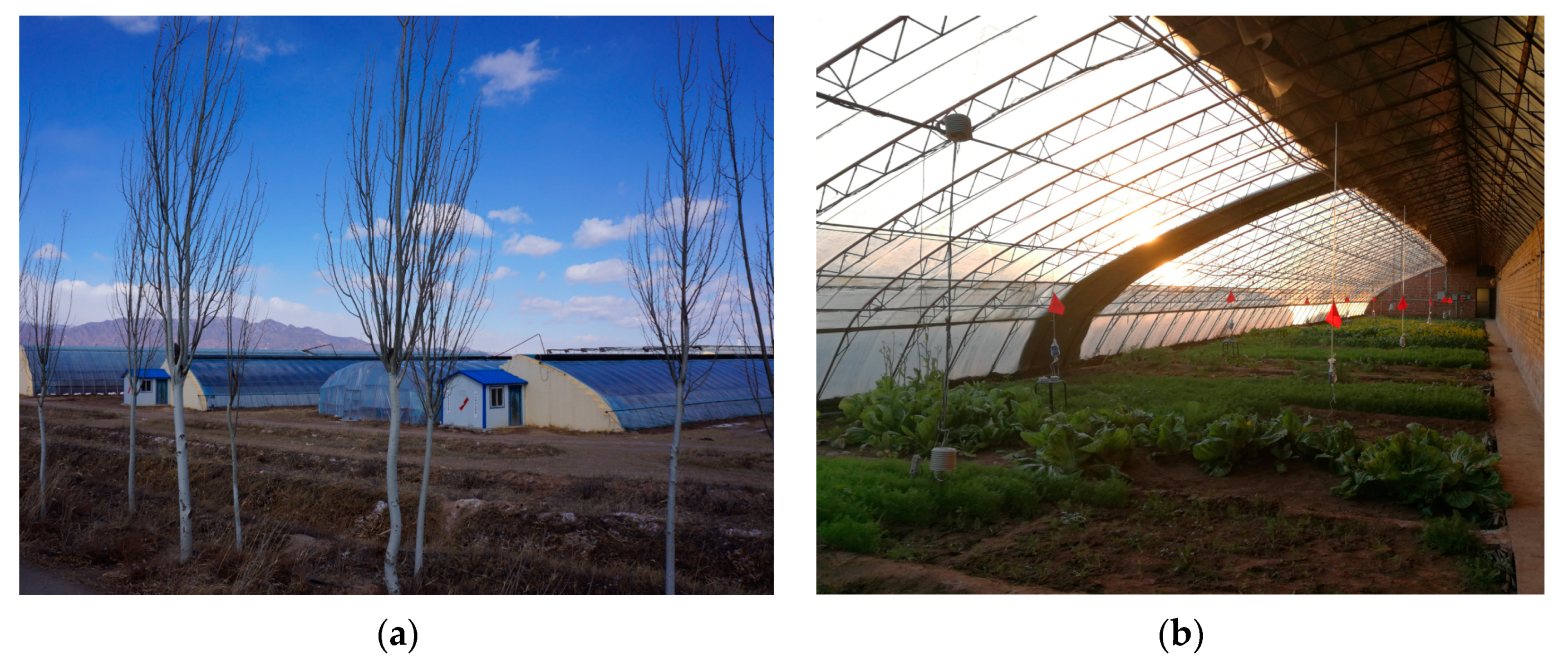 Sustainability 15 07001 g001