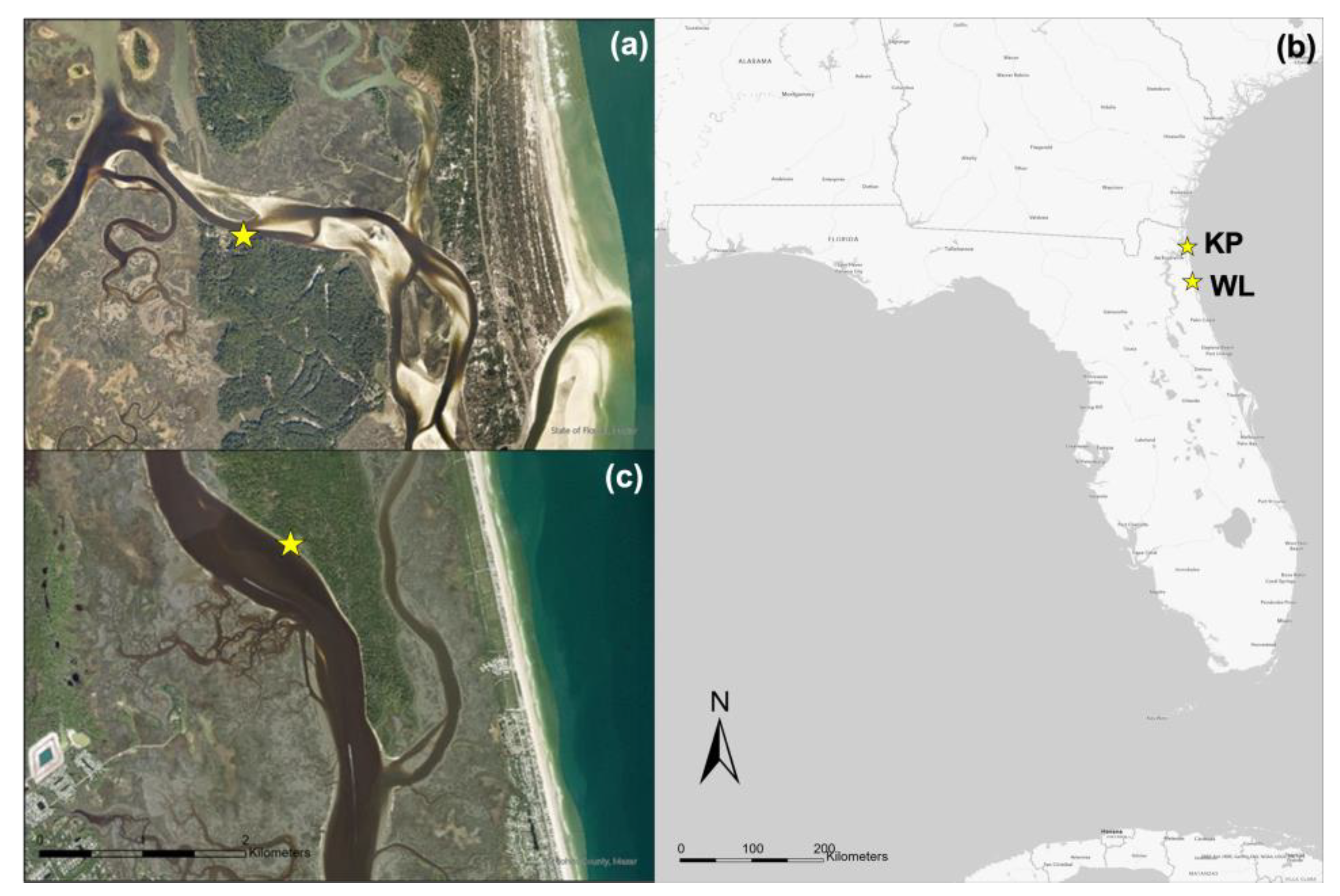 Sustainability 15 07028 g002