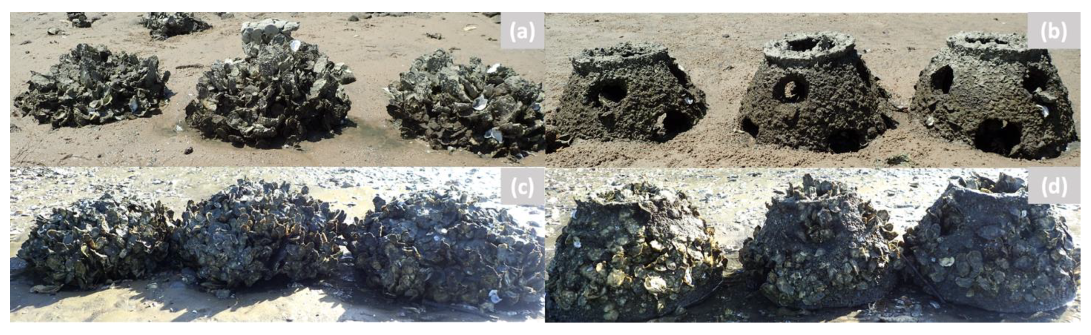 Sustainability 15 07028 g009