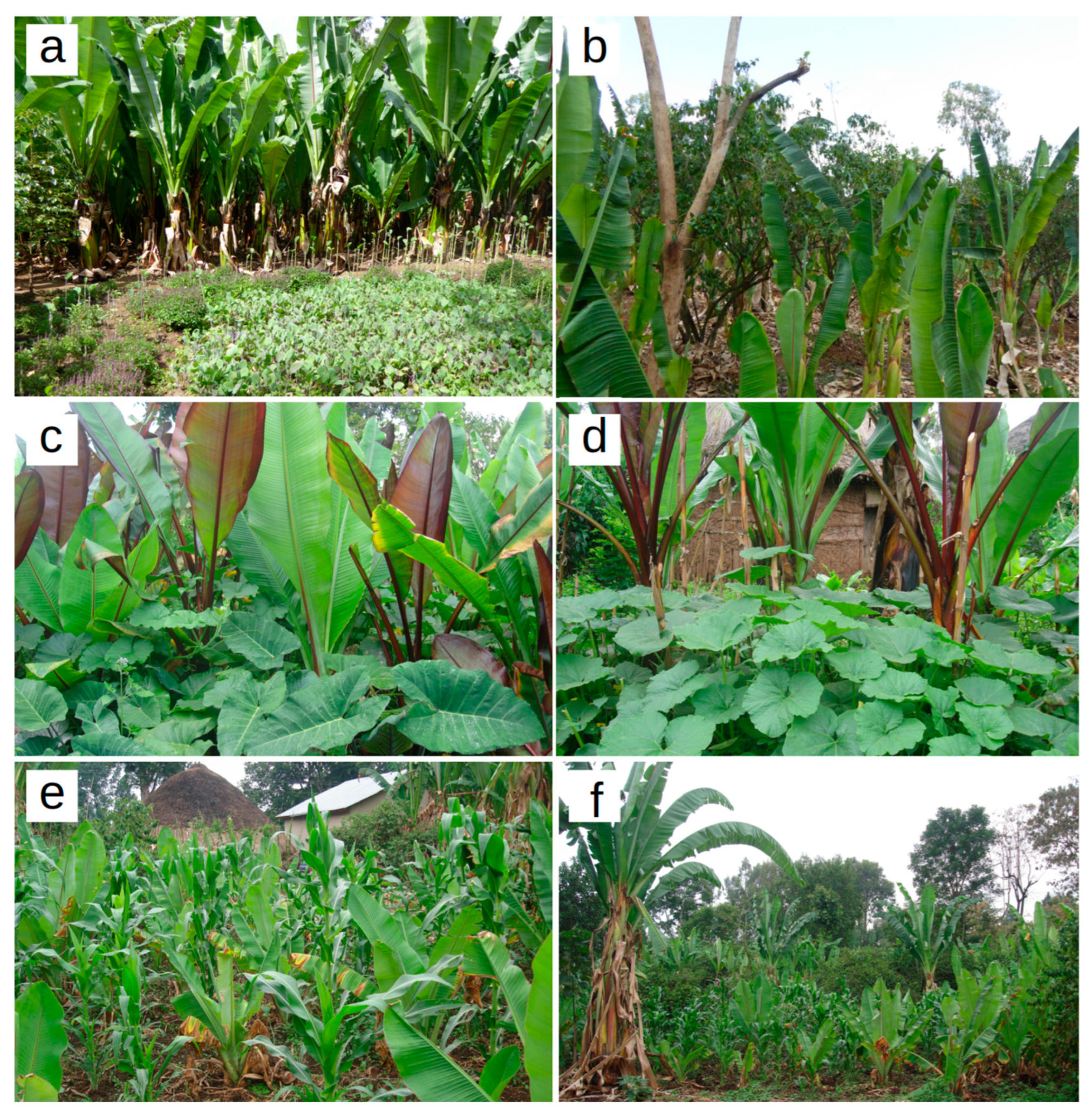 Sustainability 15 07066 g003