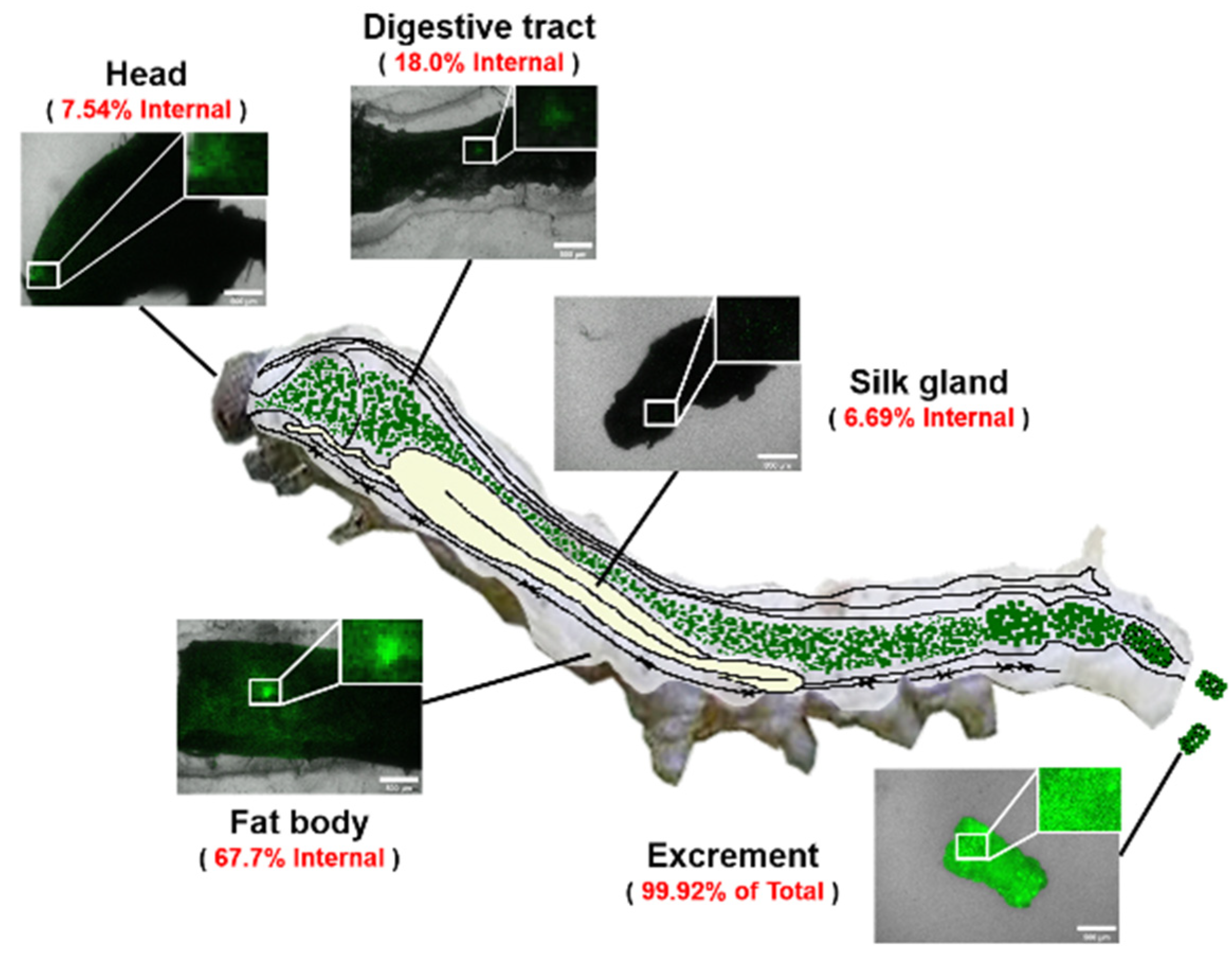 Sustainability 15 07090 g005